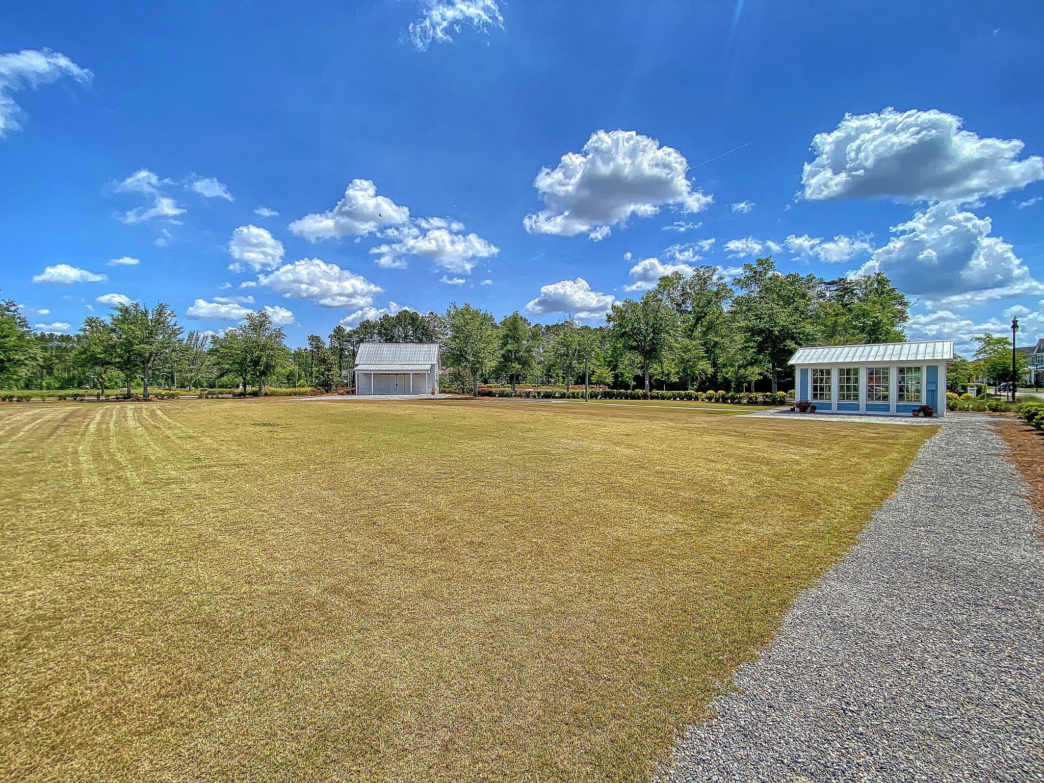 226 Garden Lily Lane