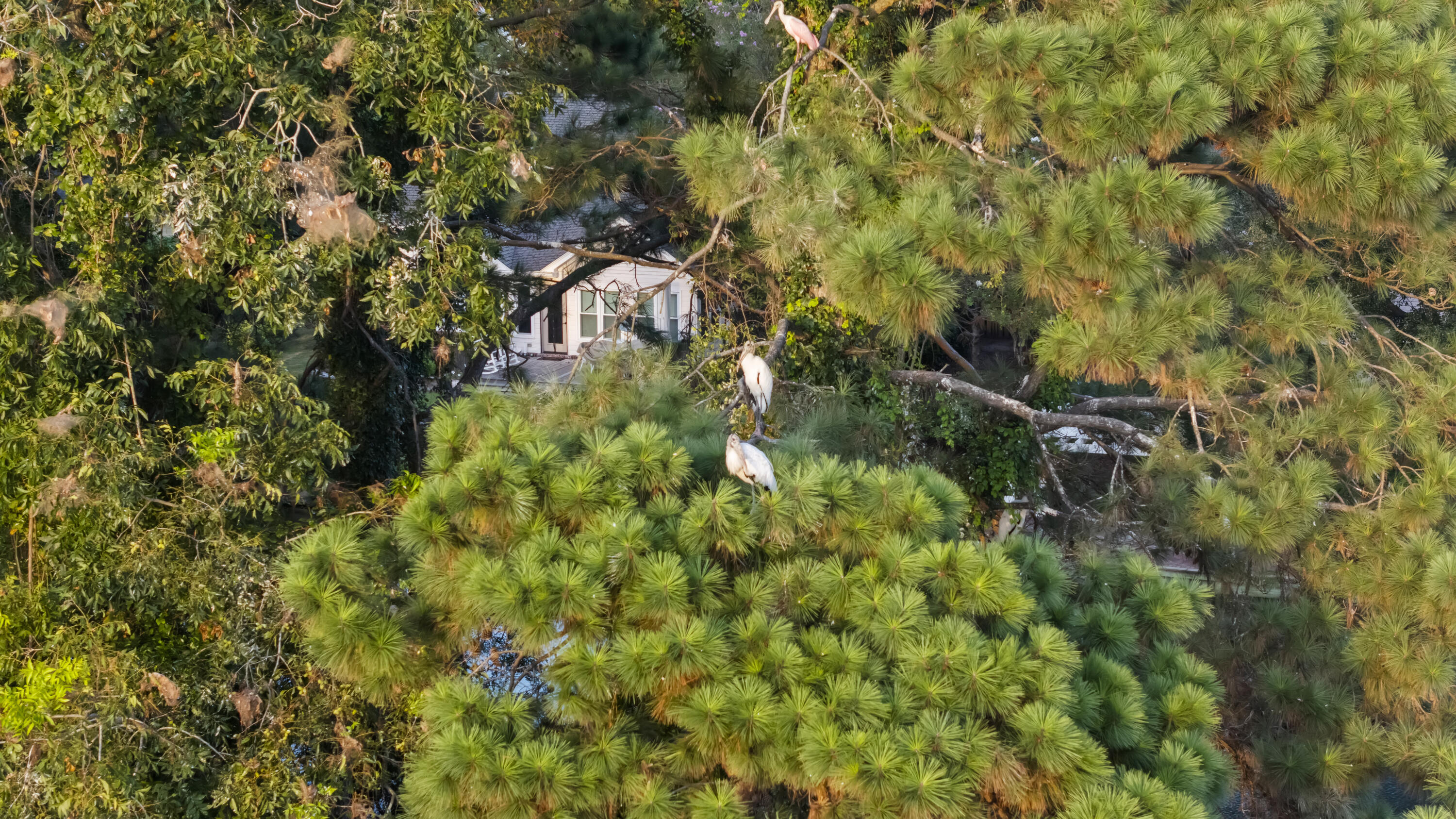 1075 Wayfarer Lane