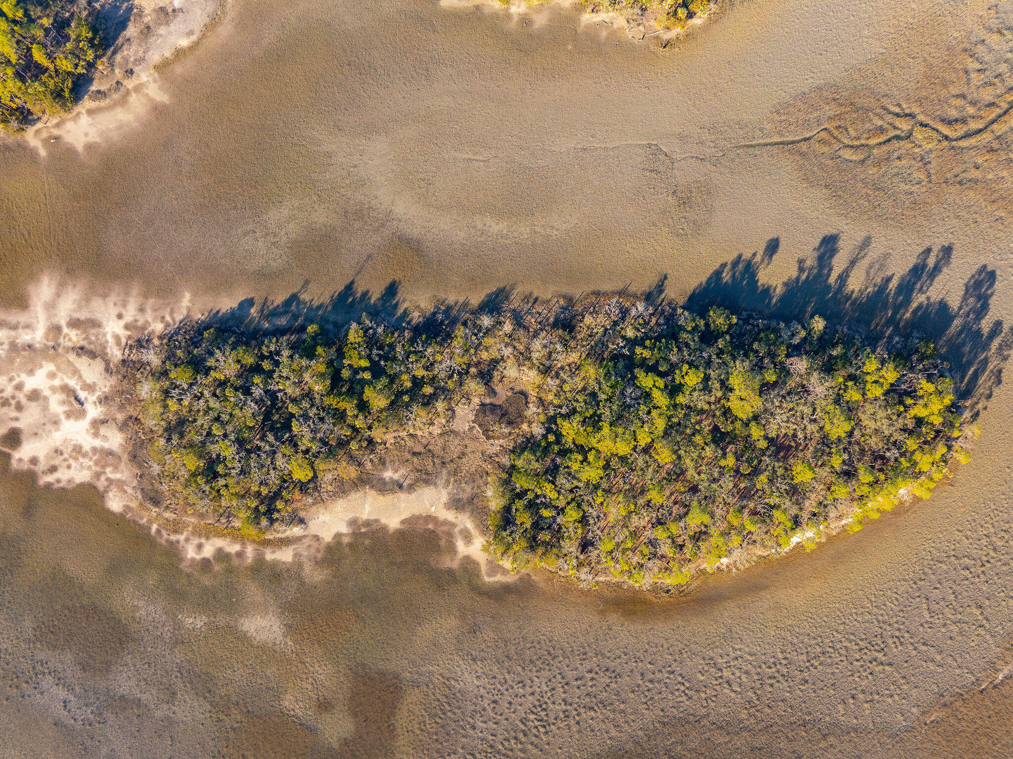 123 Rose Island