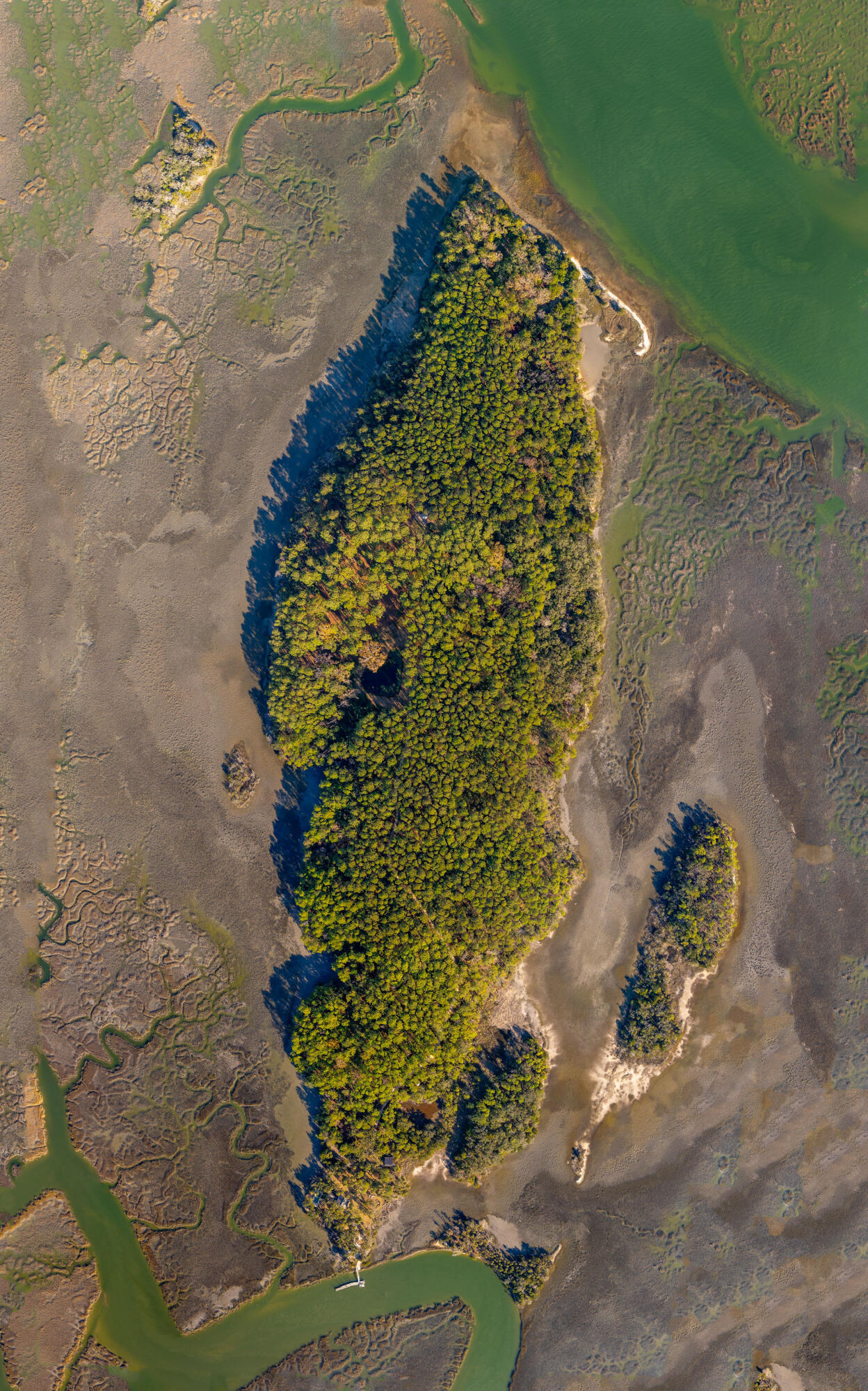 123 Rose Island