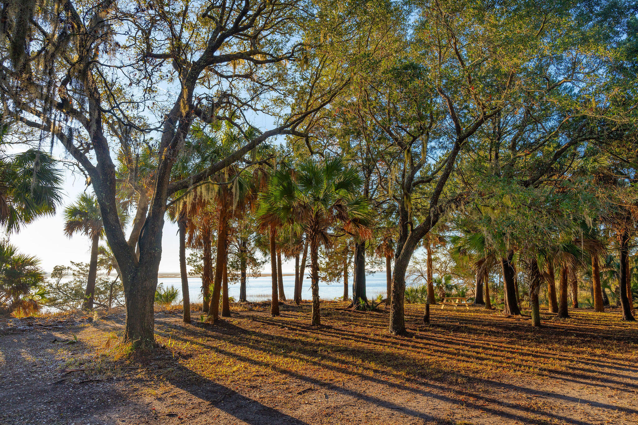 123 Rose Island