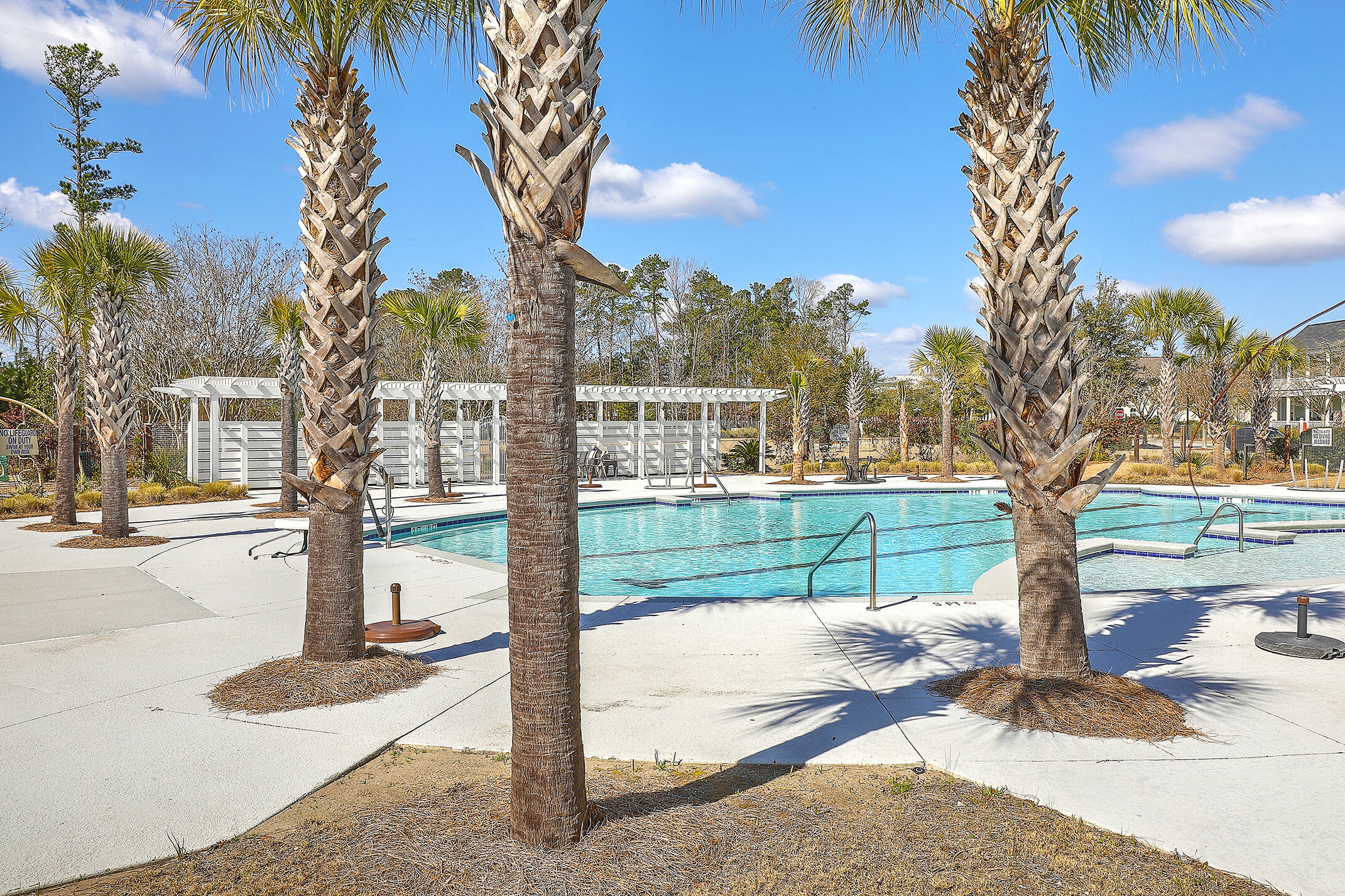 217 Pink Azalea Street