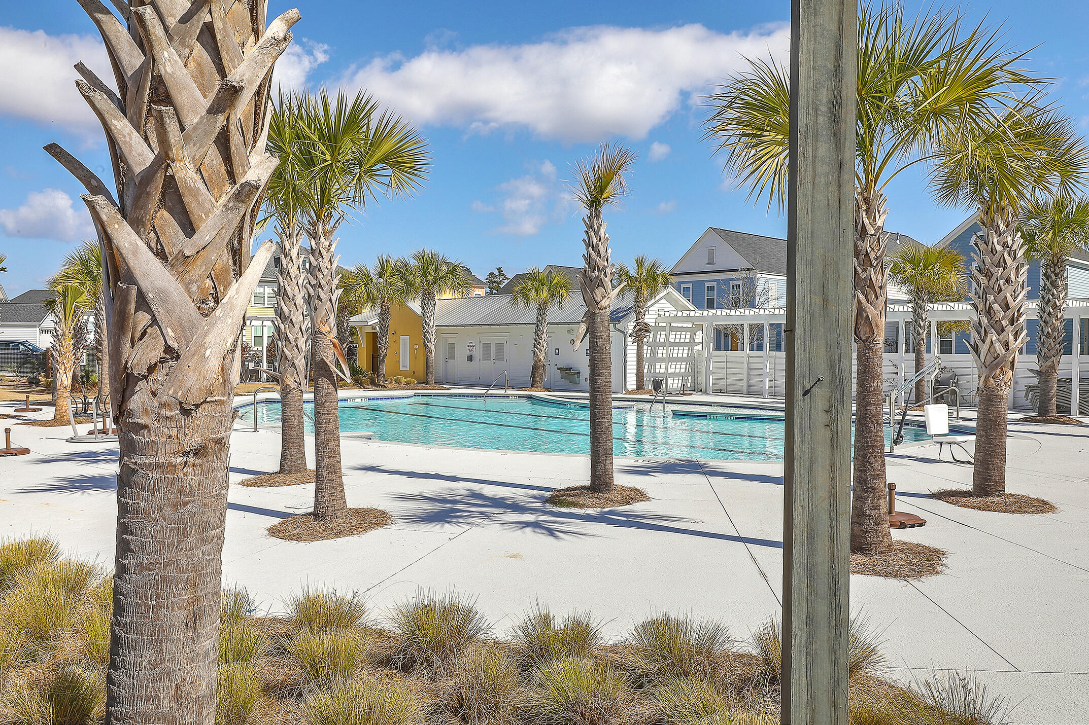 217 Pink Azalea Street