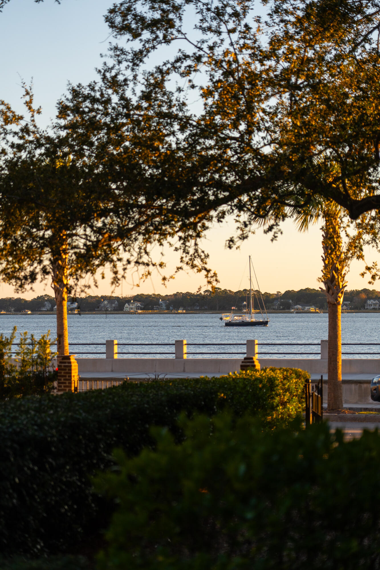 14 1/2 Murray Boulevard