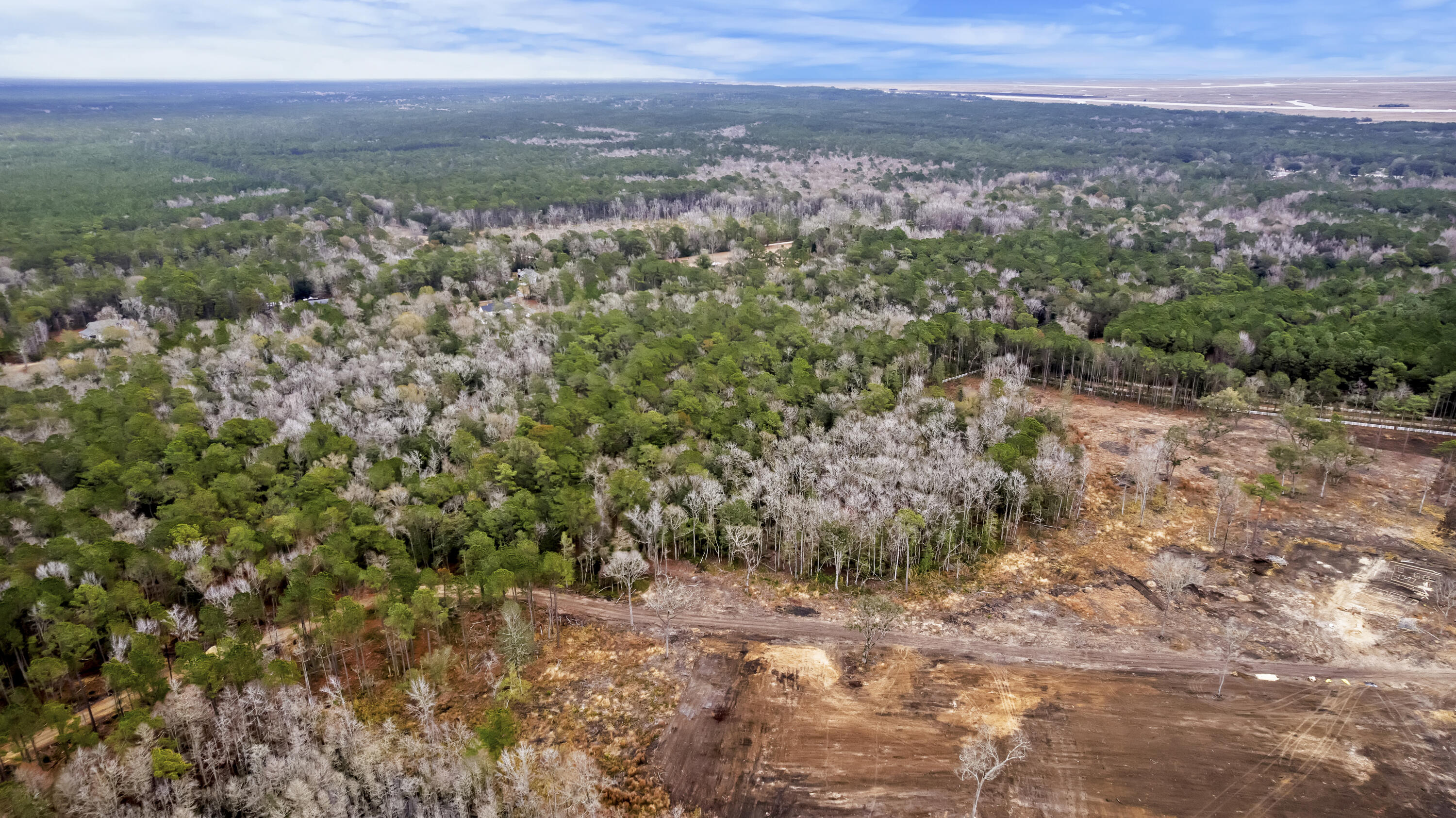 8874 Old Georgetown Road, McClellanville