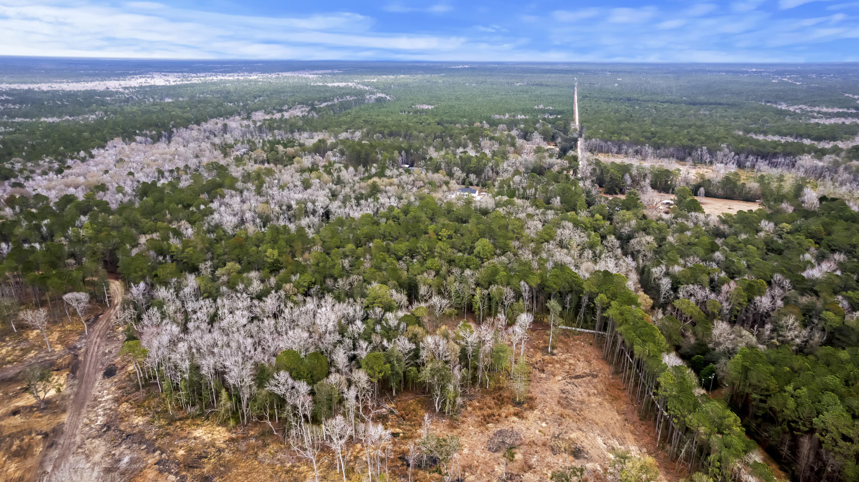 8874 Old Georgetown Road, McClellanville