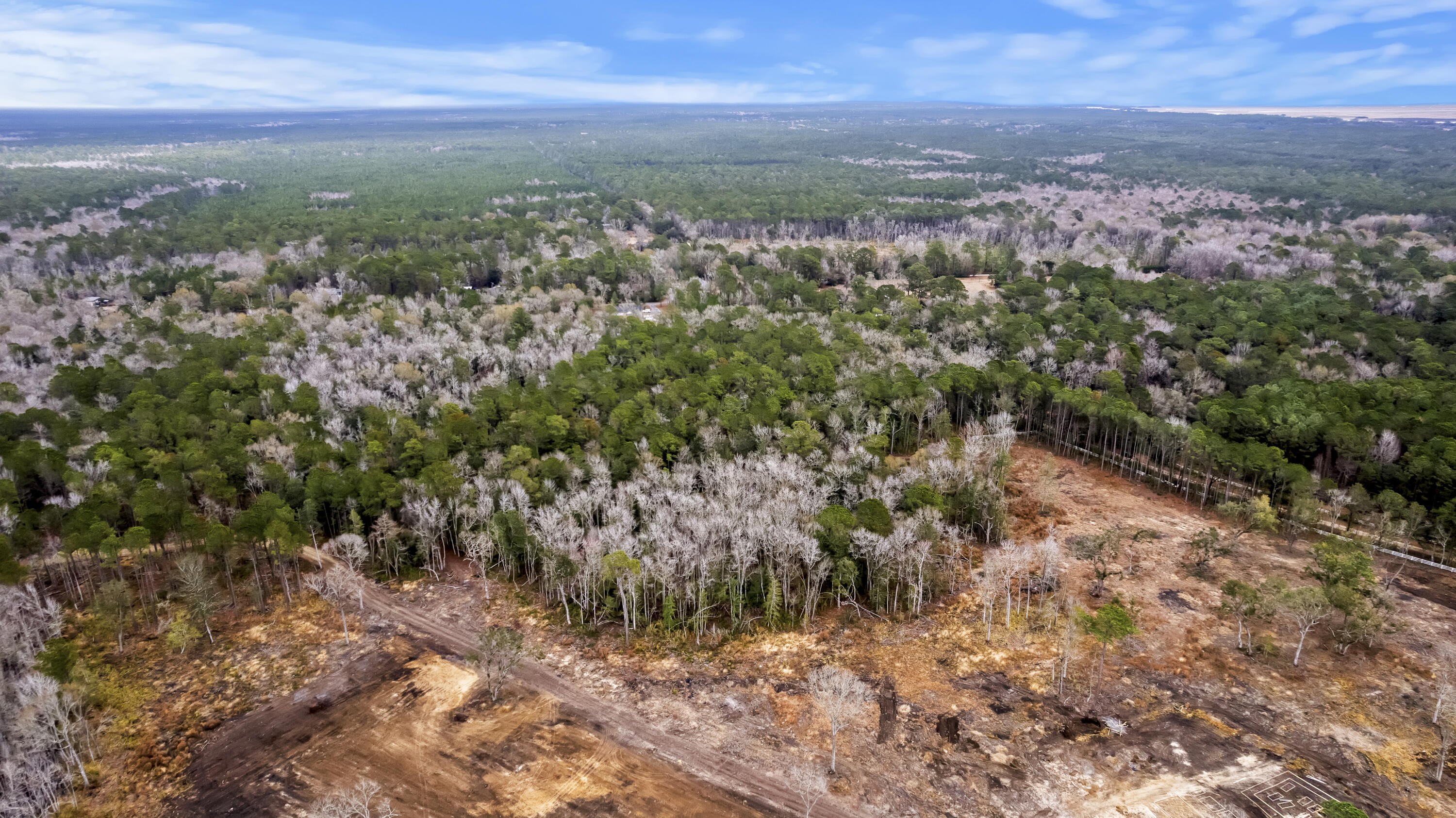 8874 Old Georgetown Road, McClellanville