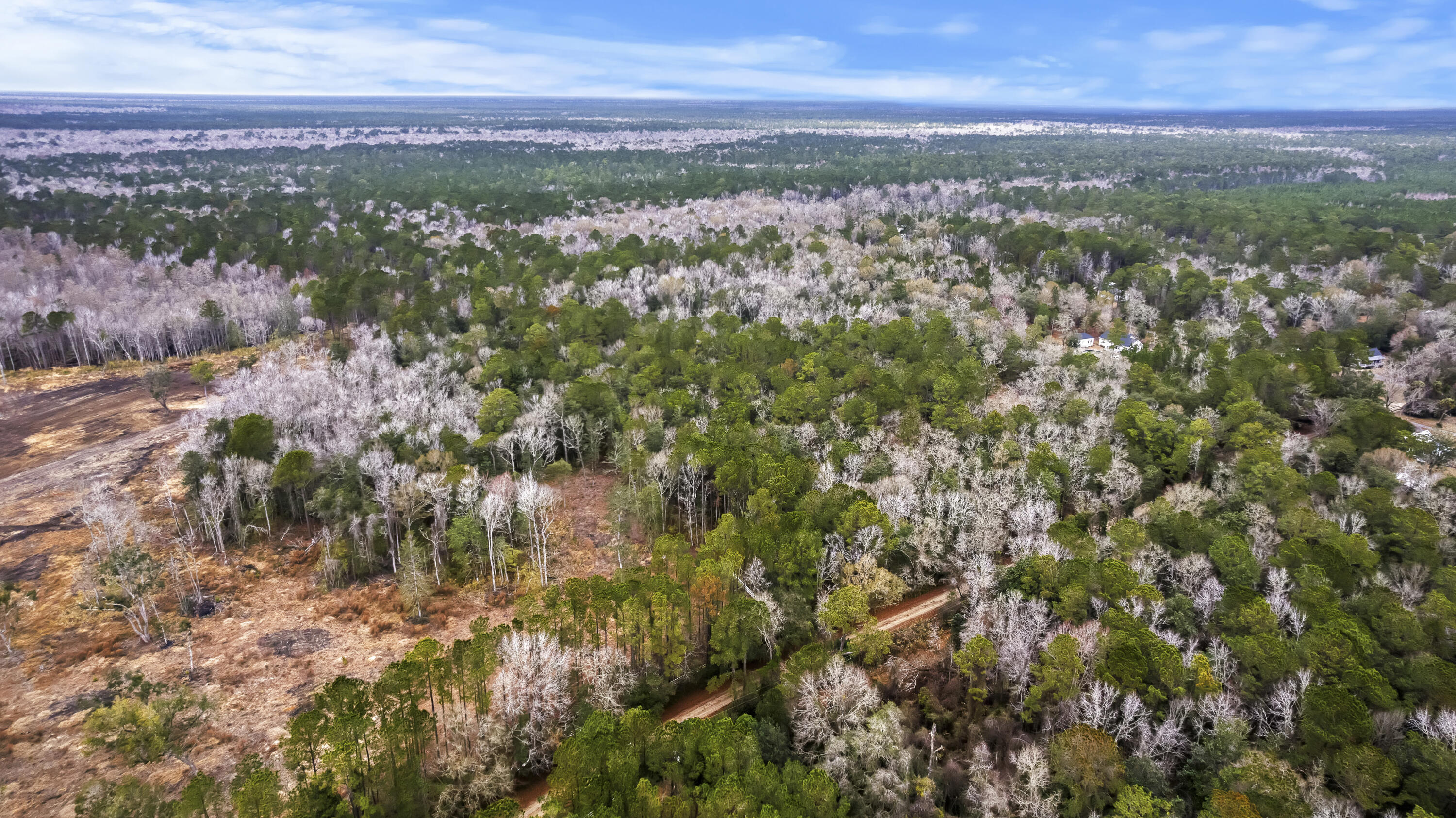 8874 Old Georgetown Road, McClellanville