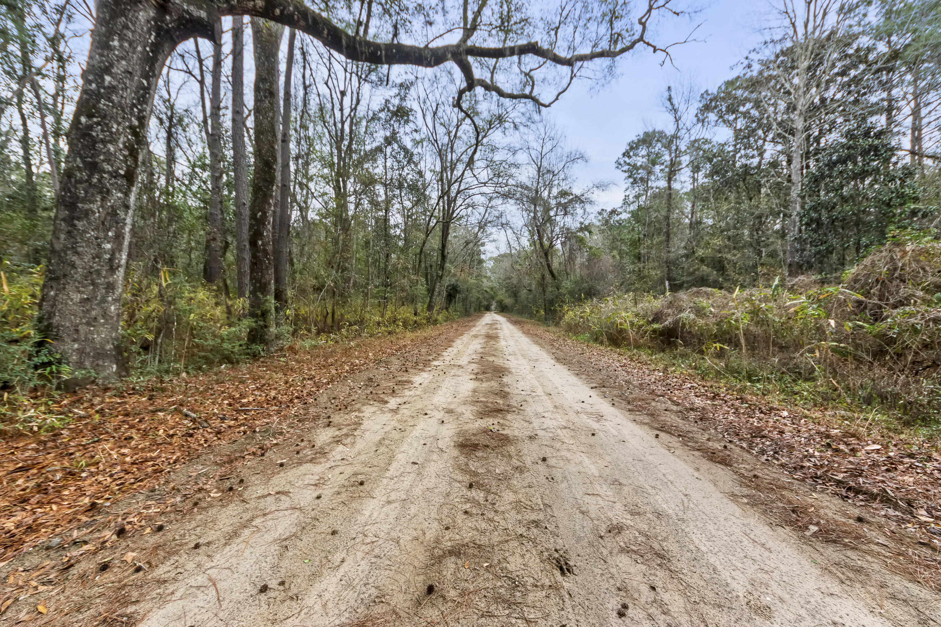 8874 Old Georgetown Road, McClellanville