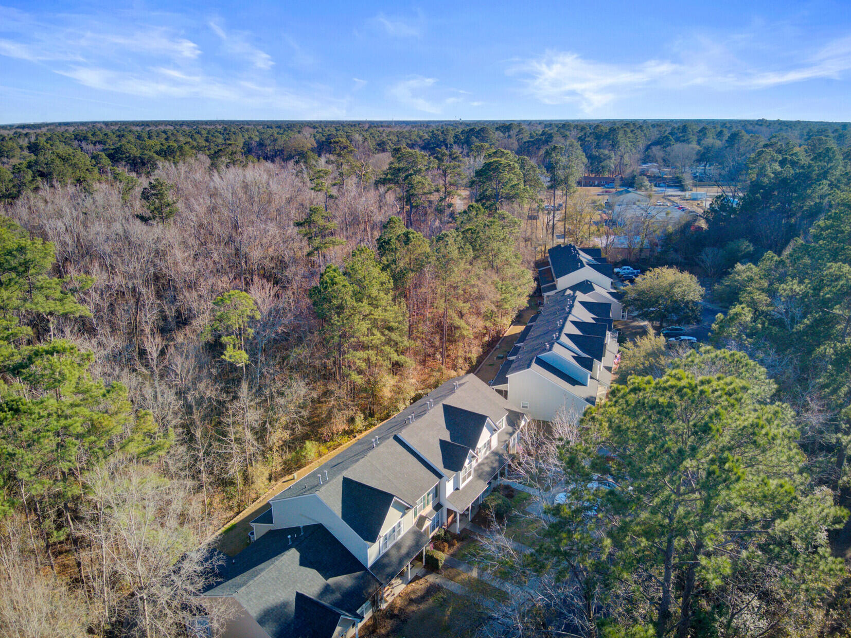 1003 Pine Bluff Drive