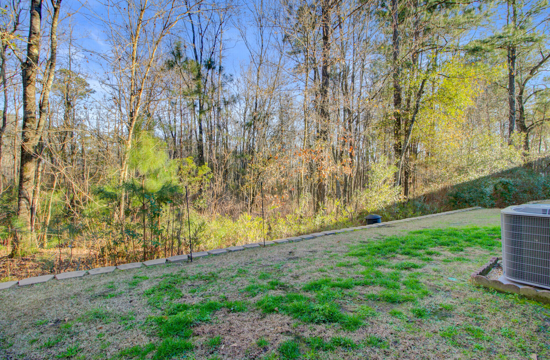 1003 Pine Bluff Drive