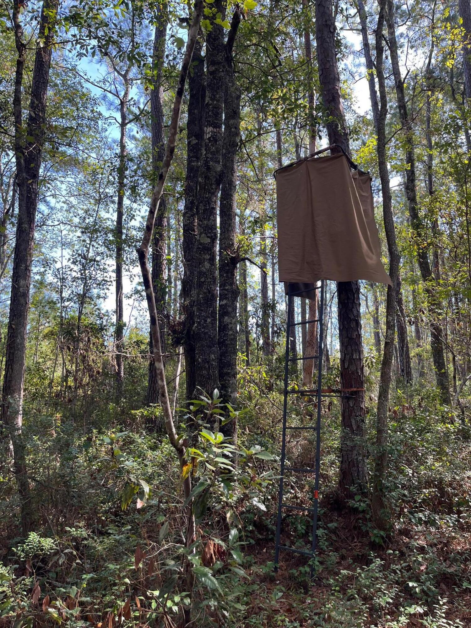 9168 Old Georgetown Road, McClellanville