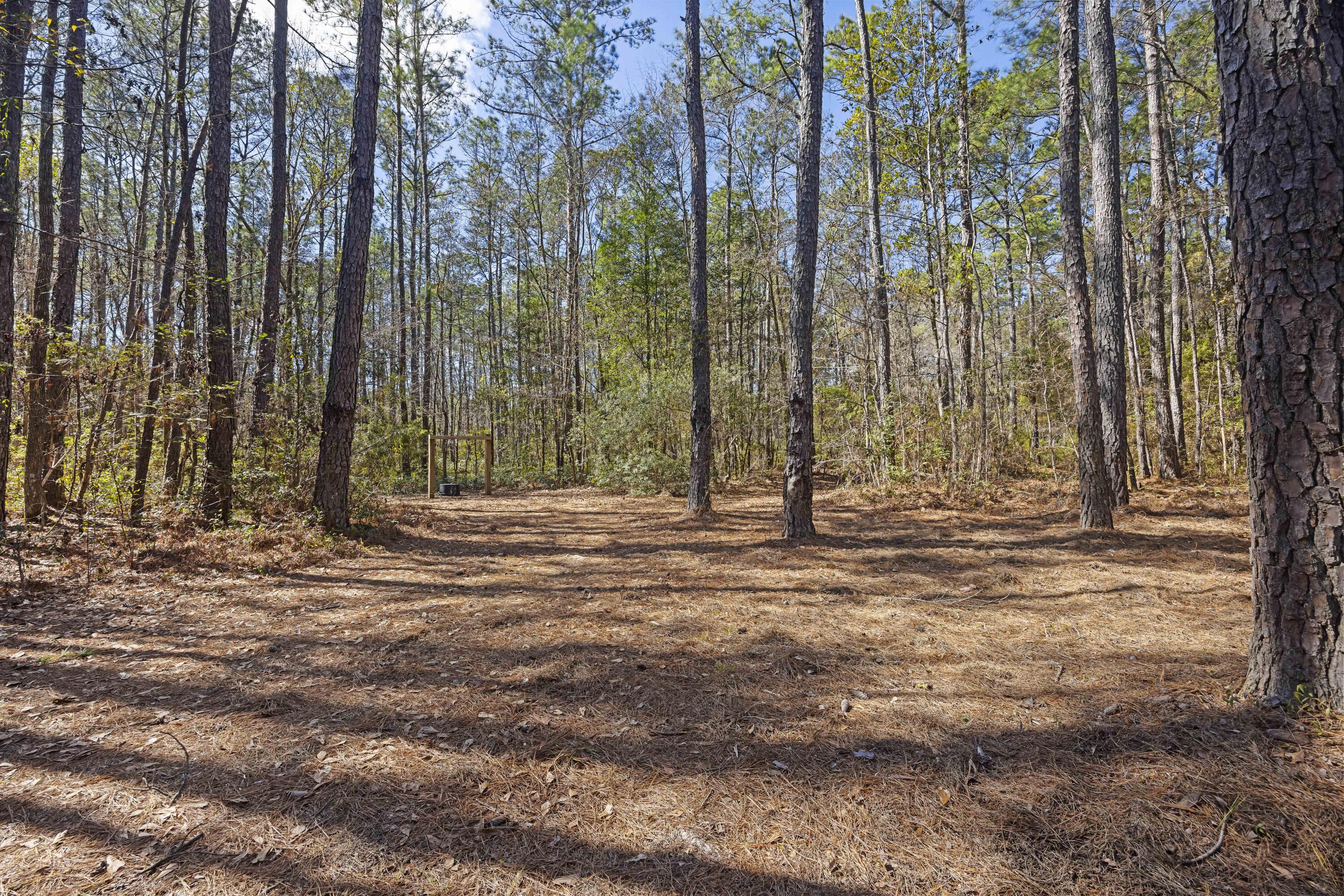 9168 Old Georgetown Road, McClellanville