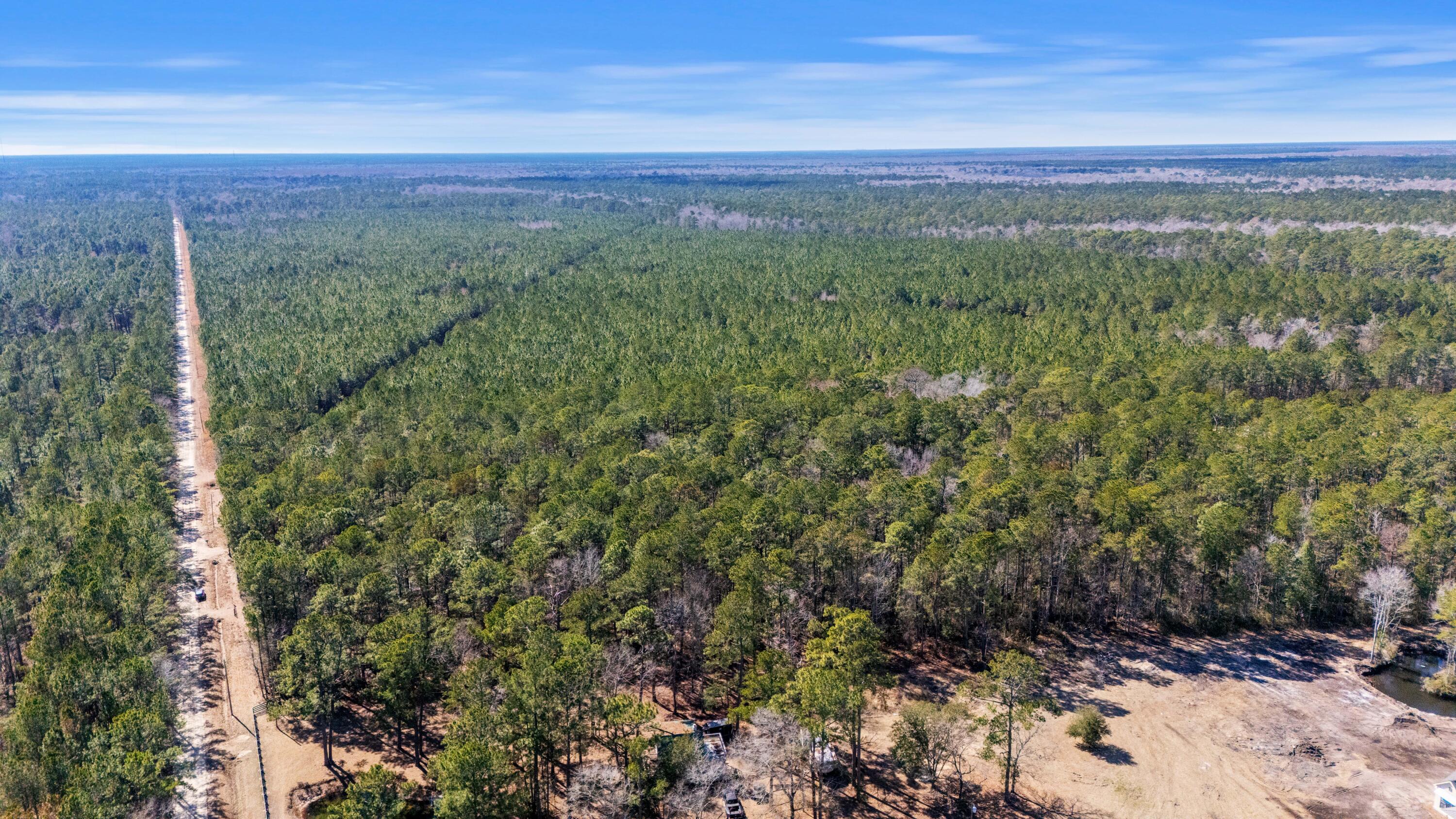 9168 Old Georgetown Road, McClellanville