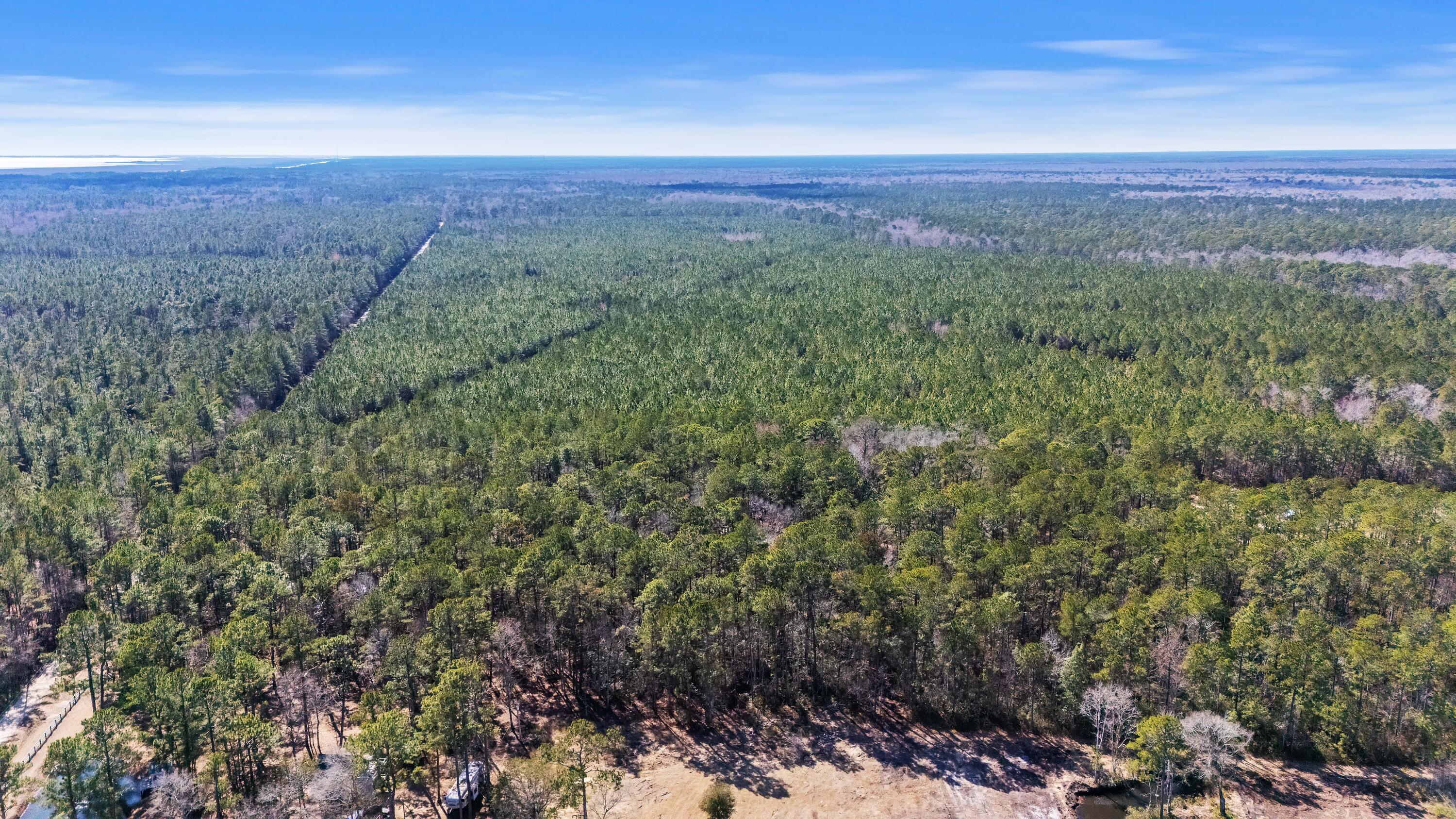 9168 Old Georgetown Road, McClellanville