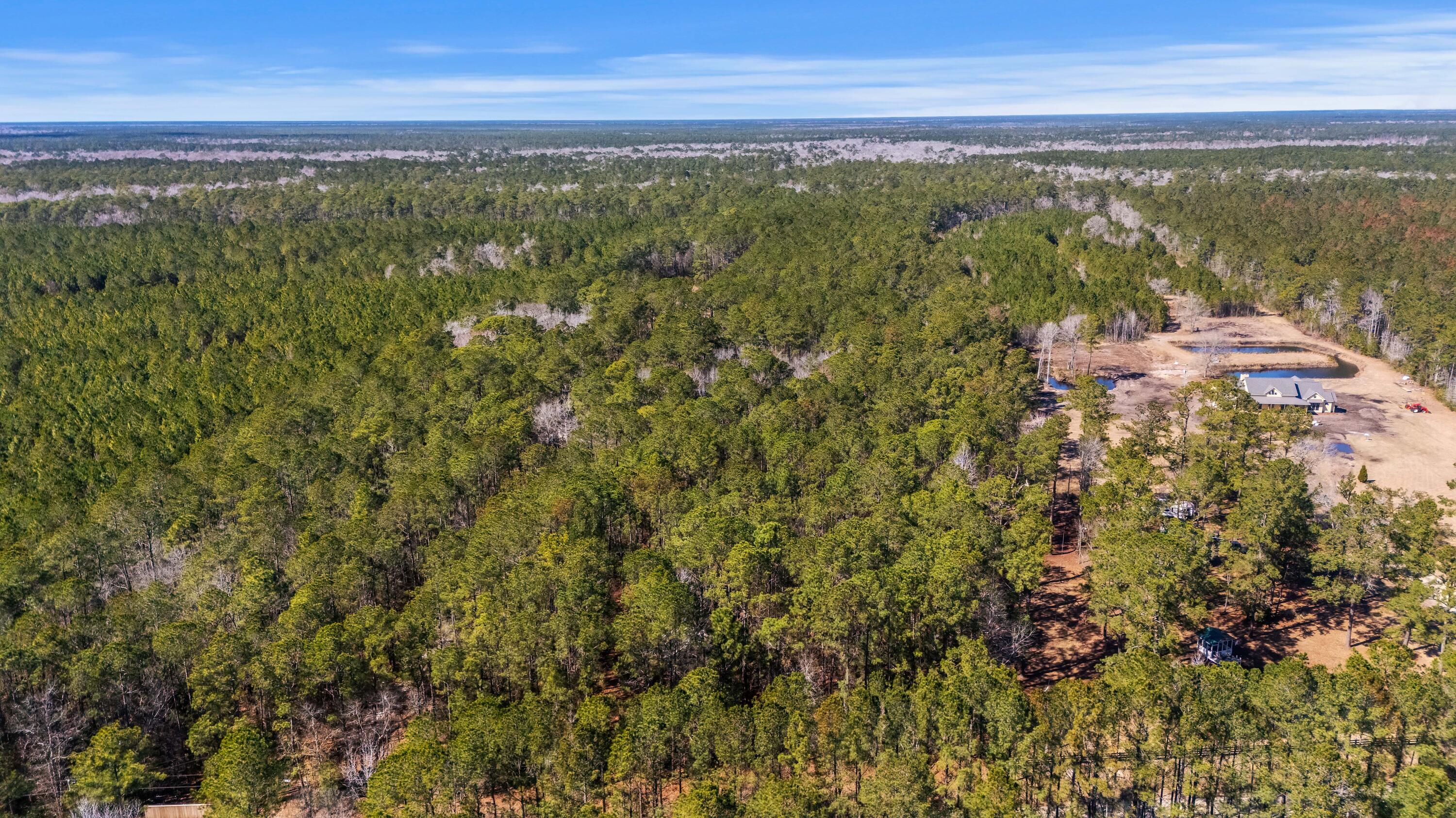 9168 Old Georgetown Road, McClellanville