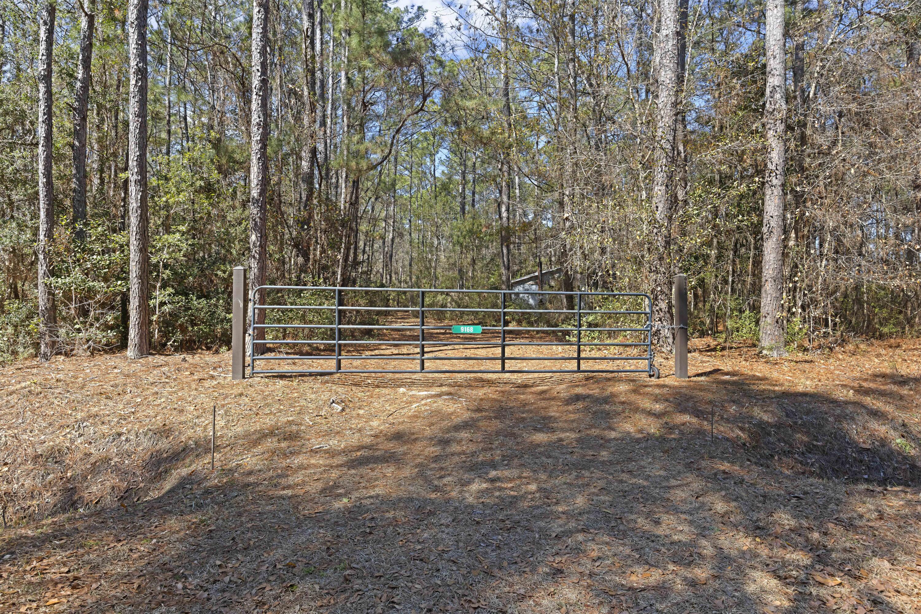 9168 Old Georgetown Road, McClellanville