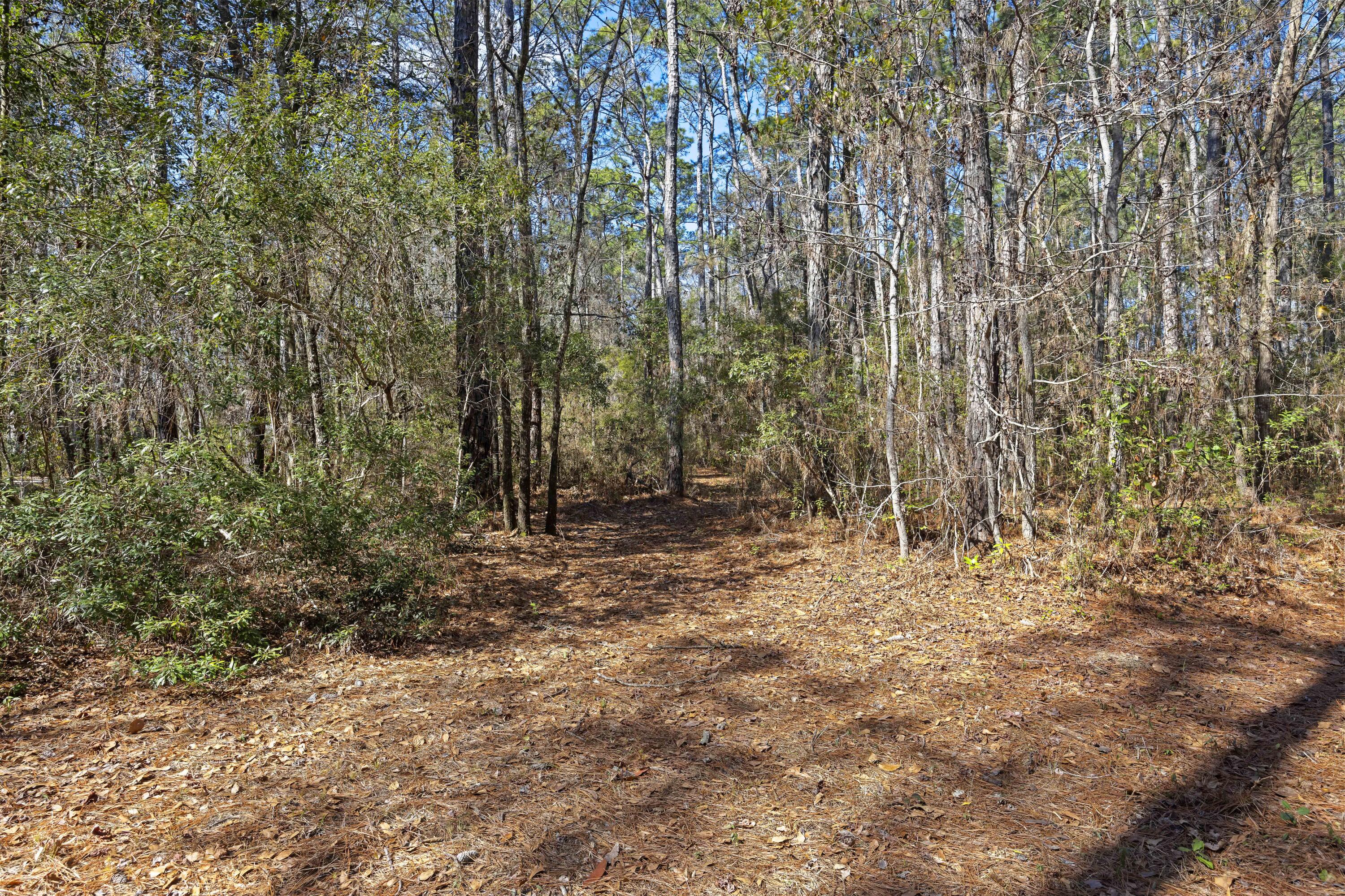 9168 Old Georgetown Road, McClellanville