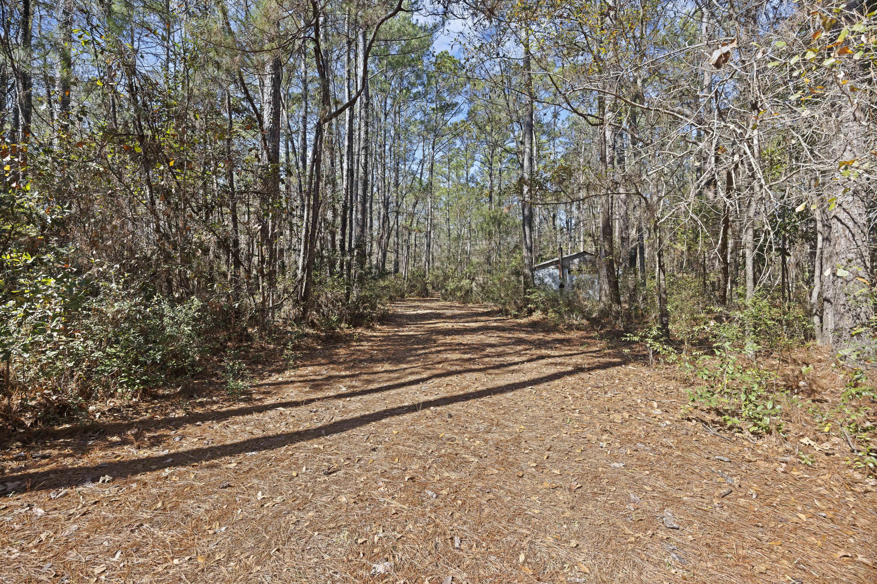 9168 Old Georgetown Road, McClellanville