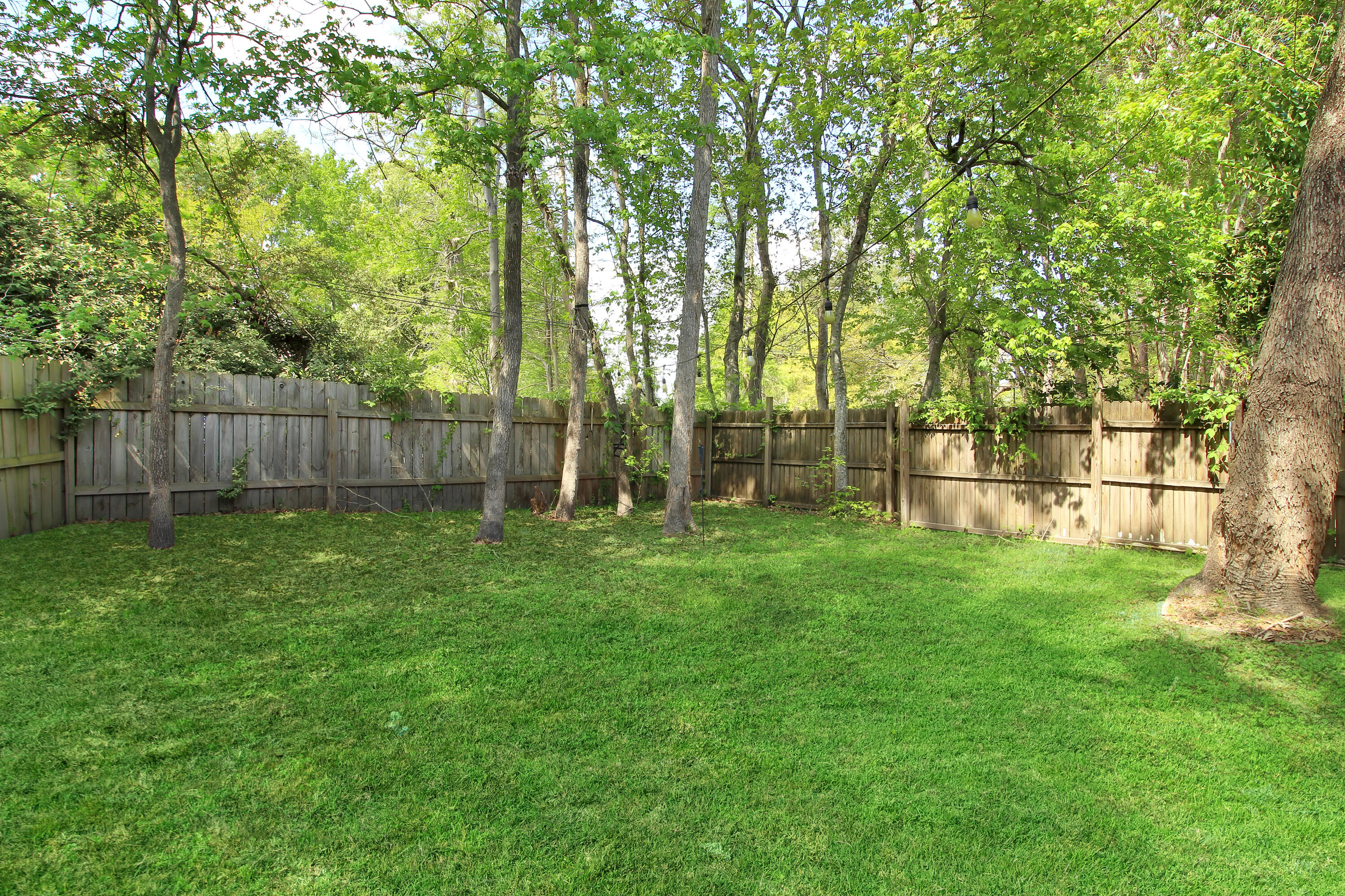 2104 Razorback Lane
