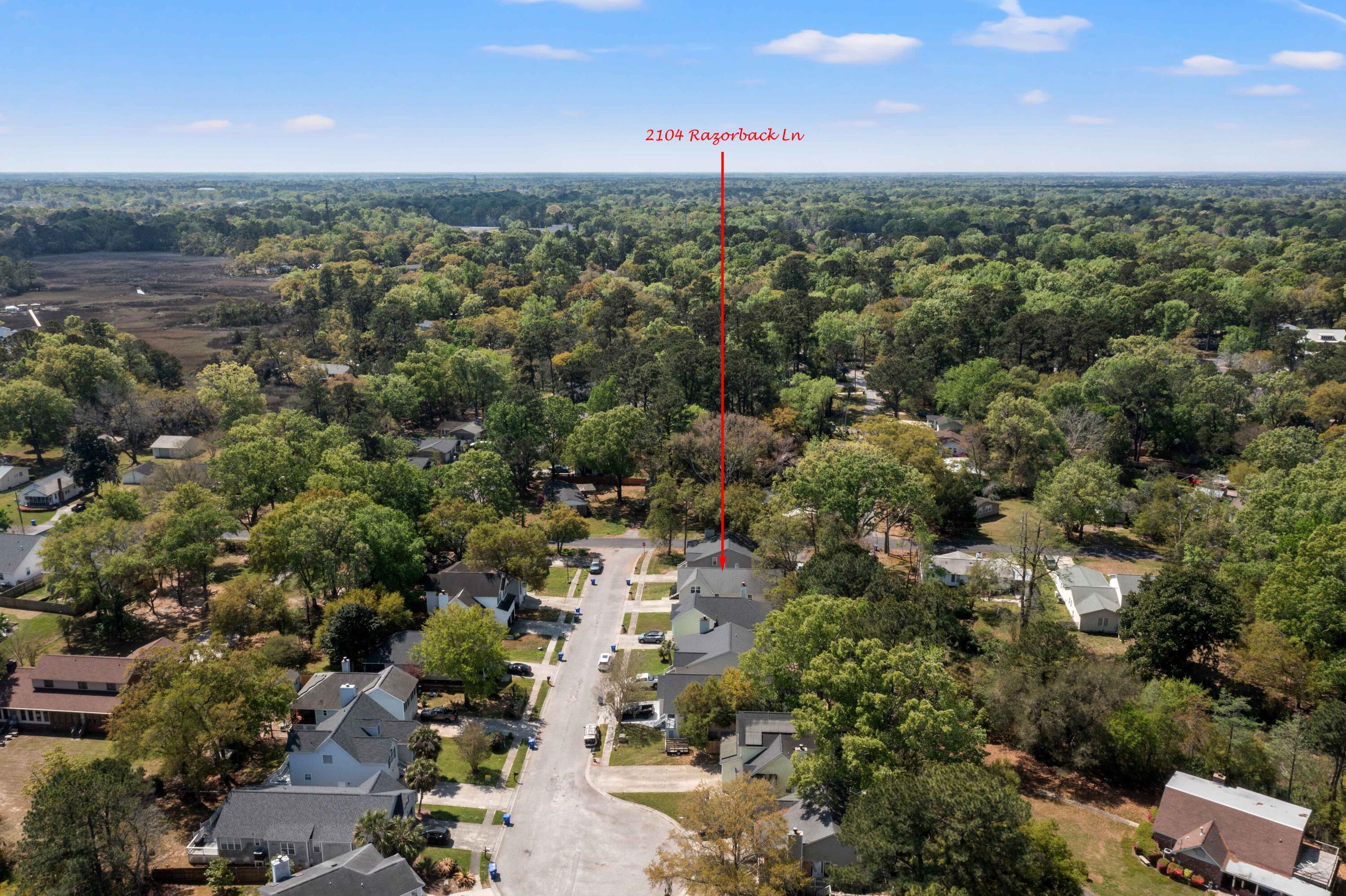 2104 Razorback Lane