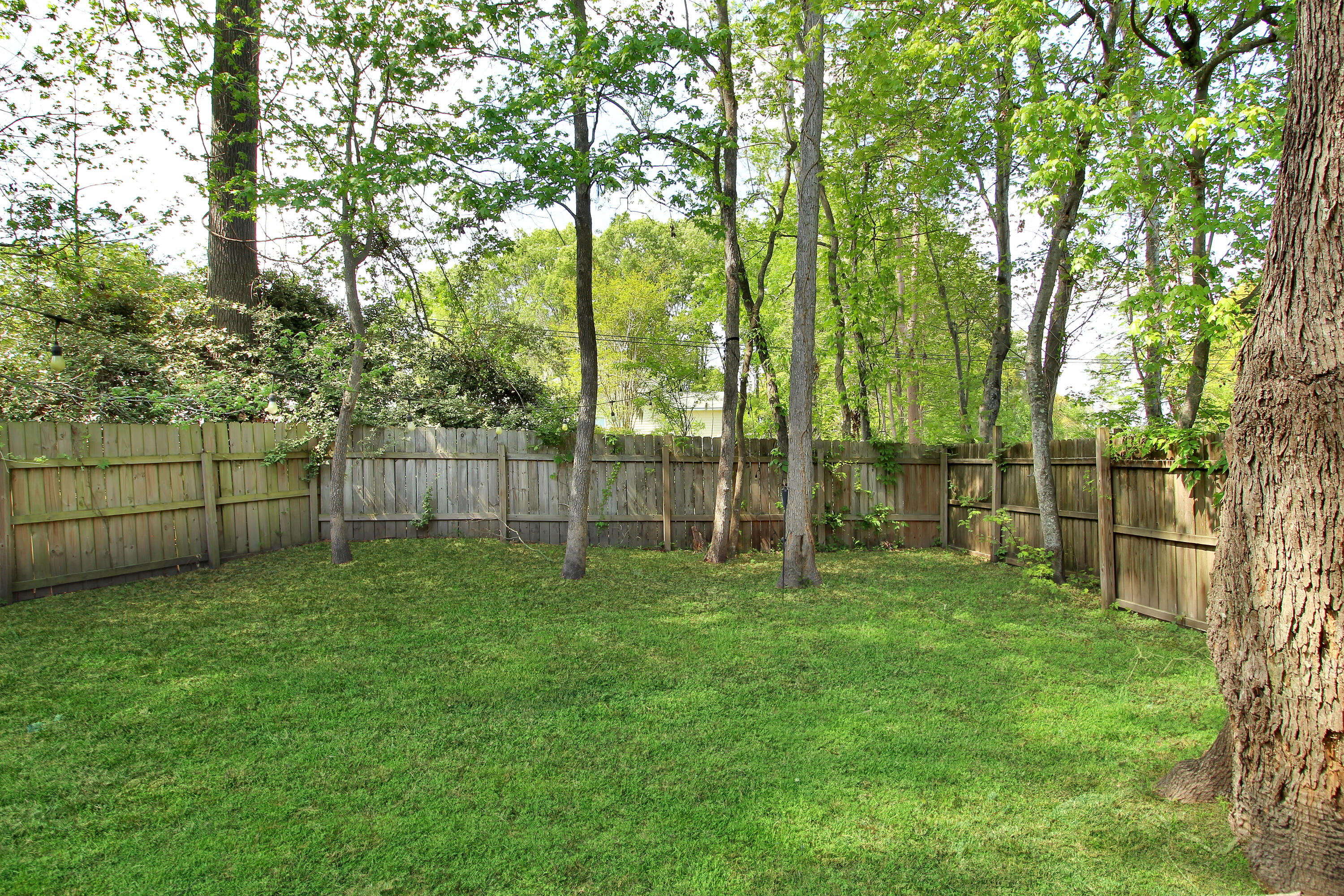 2104 Razorback Lane