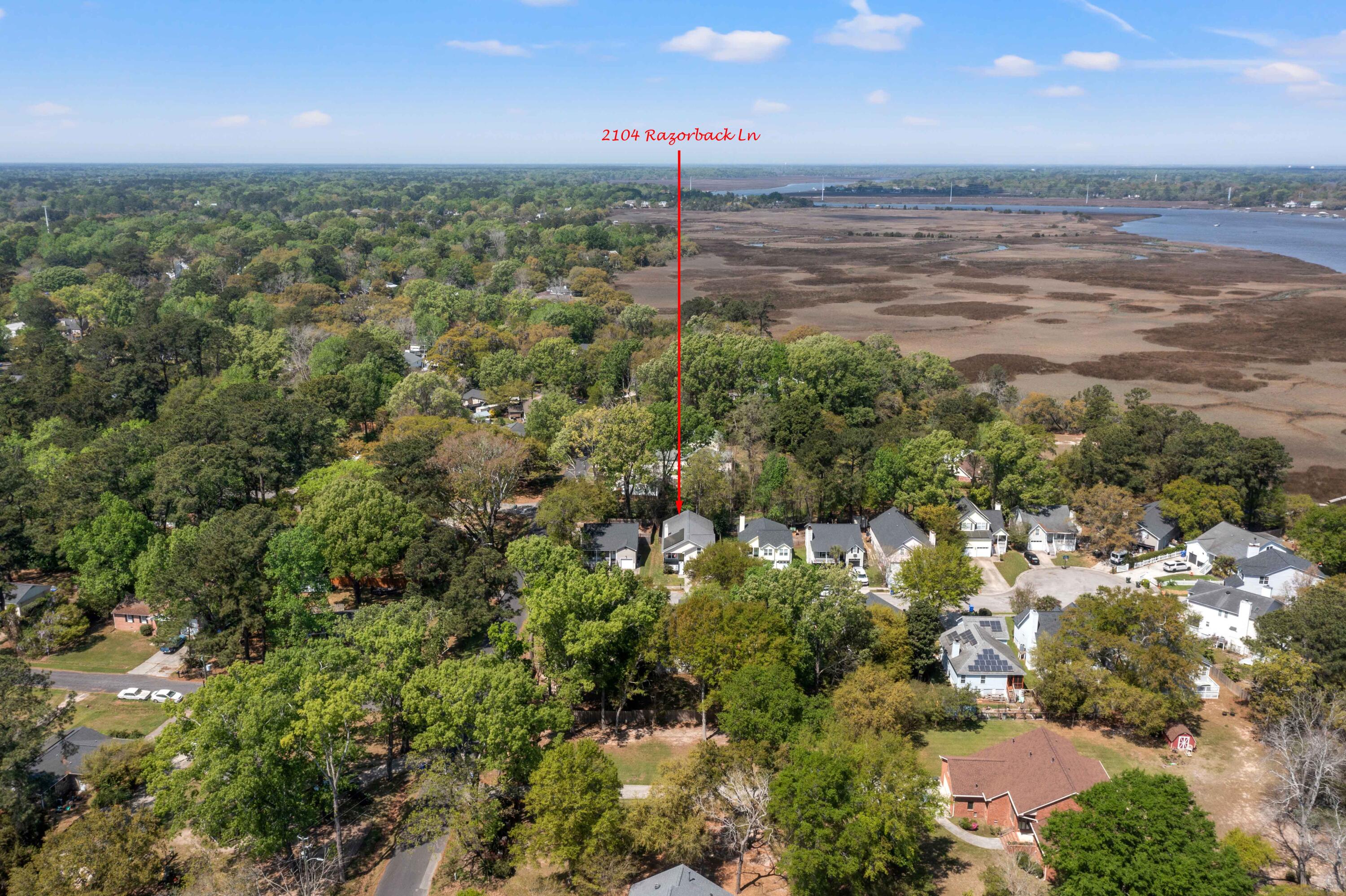 2104 Razorback Lane