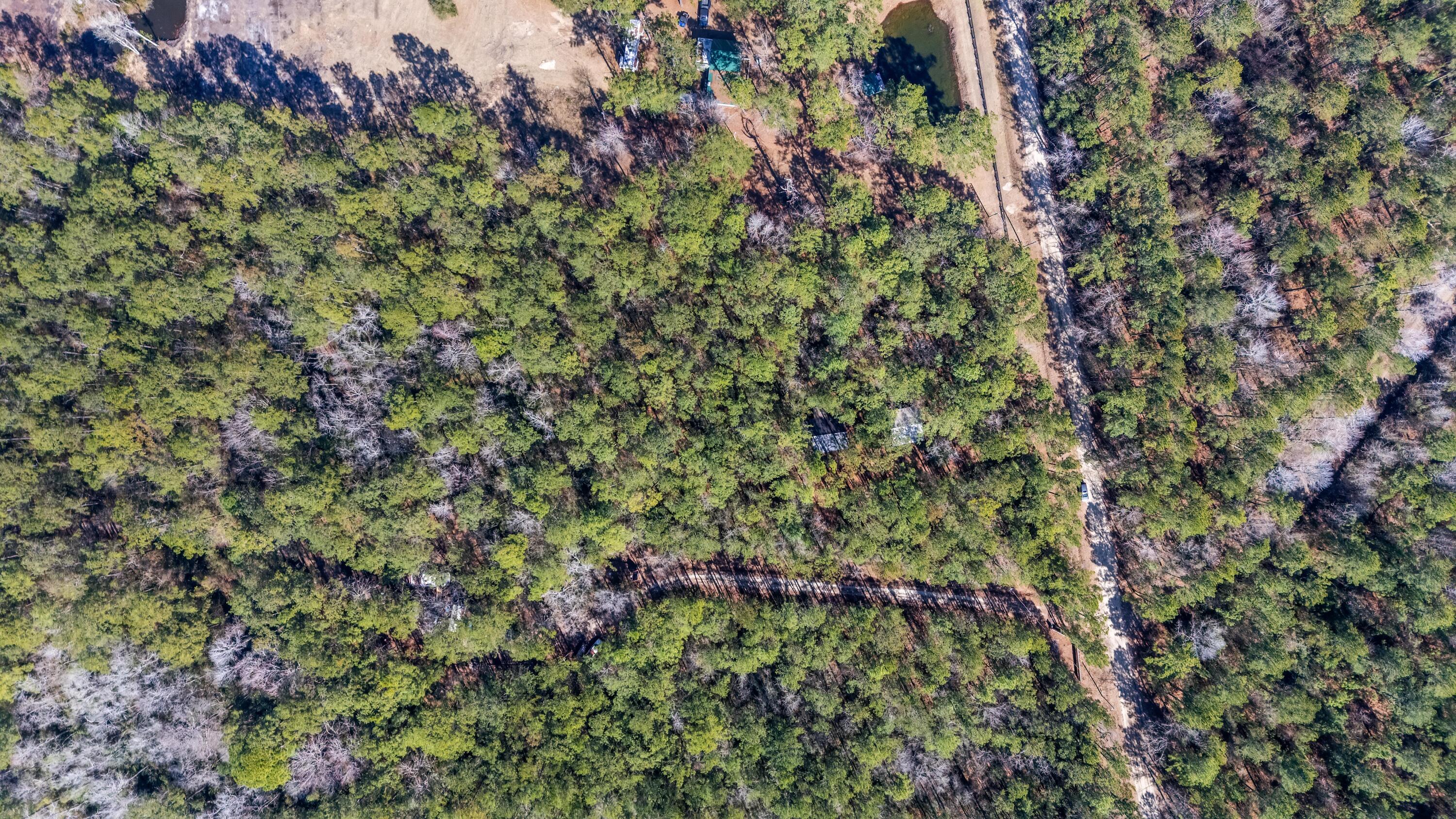 9168 Old Georgetown Road, McClellanville
