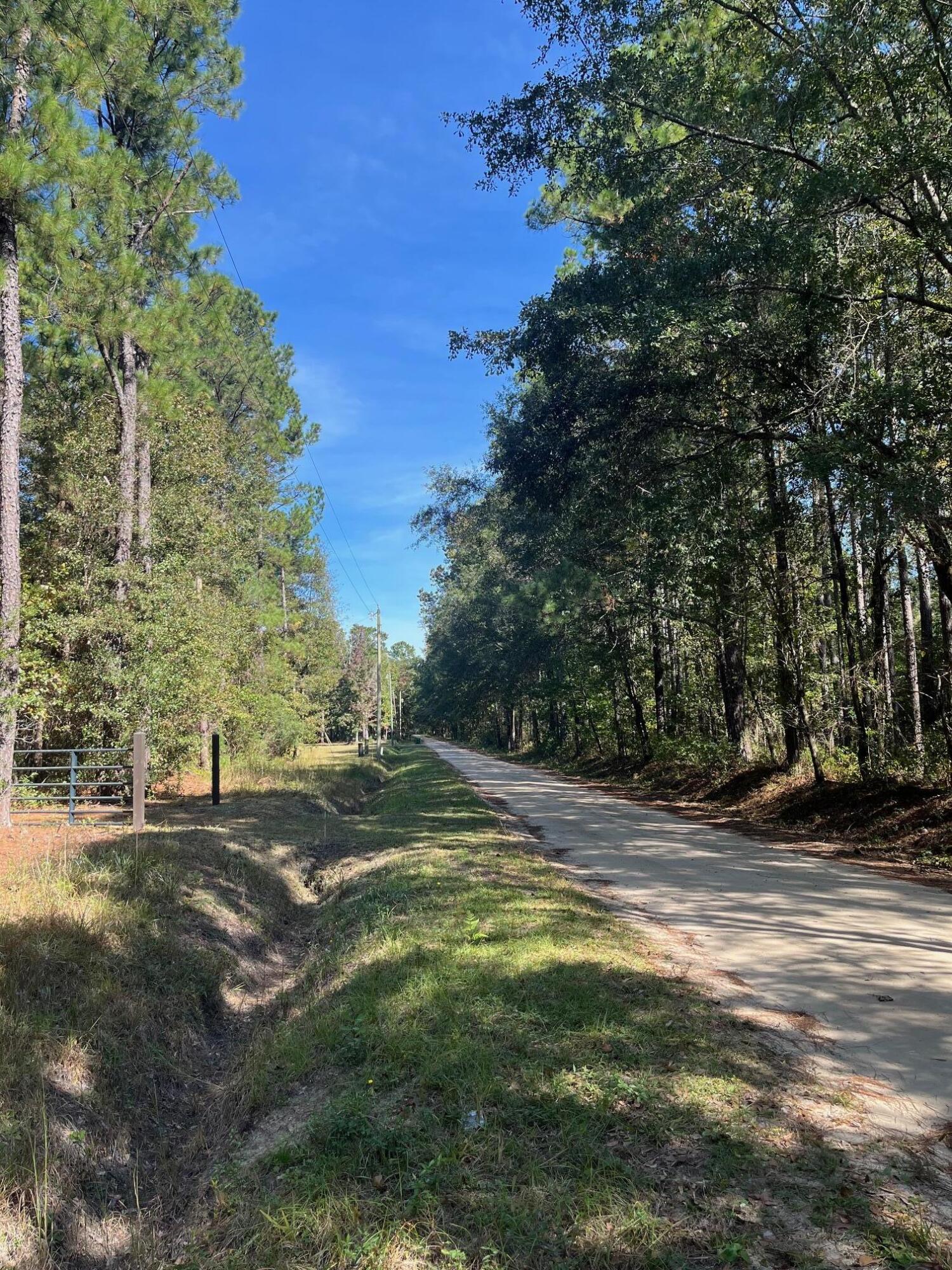 9168 Old Georgetown Road, McClellanville