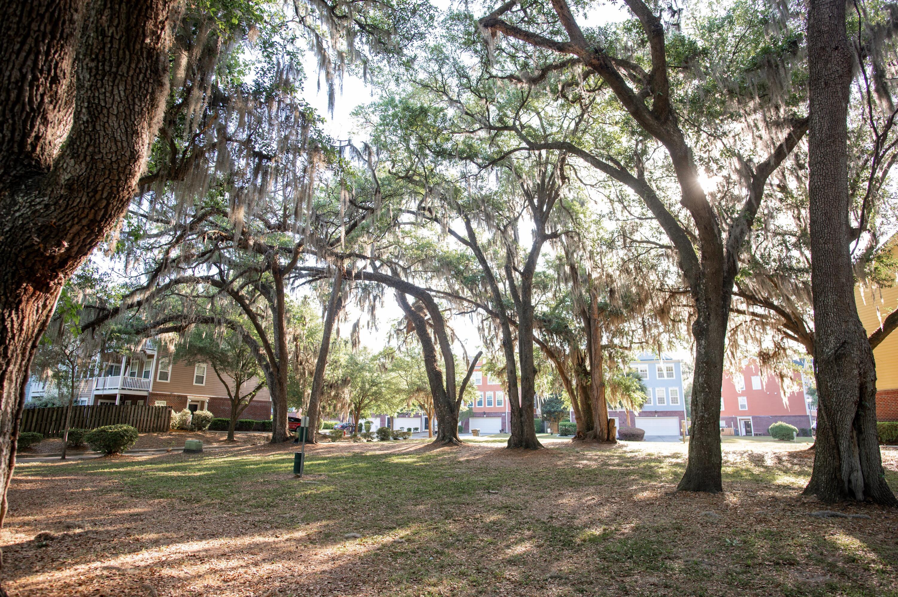 9038 Parlor Drive