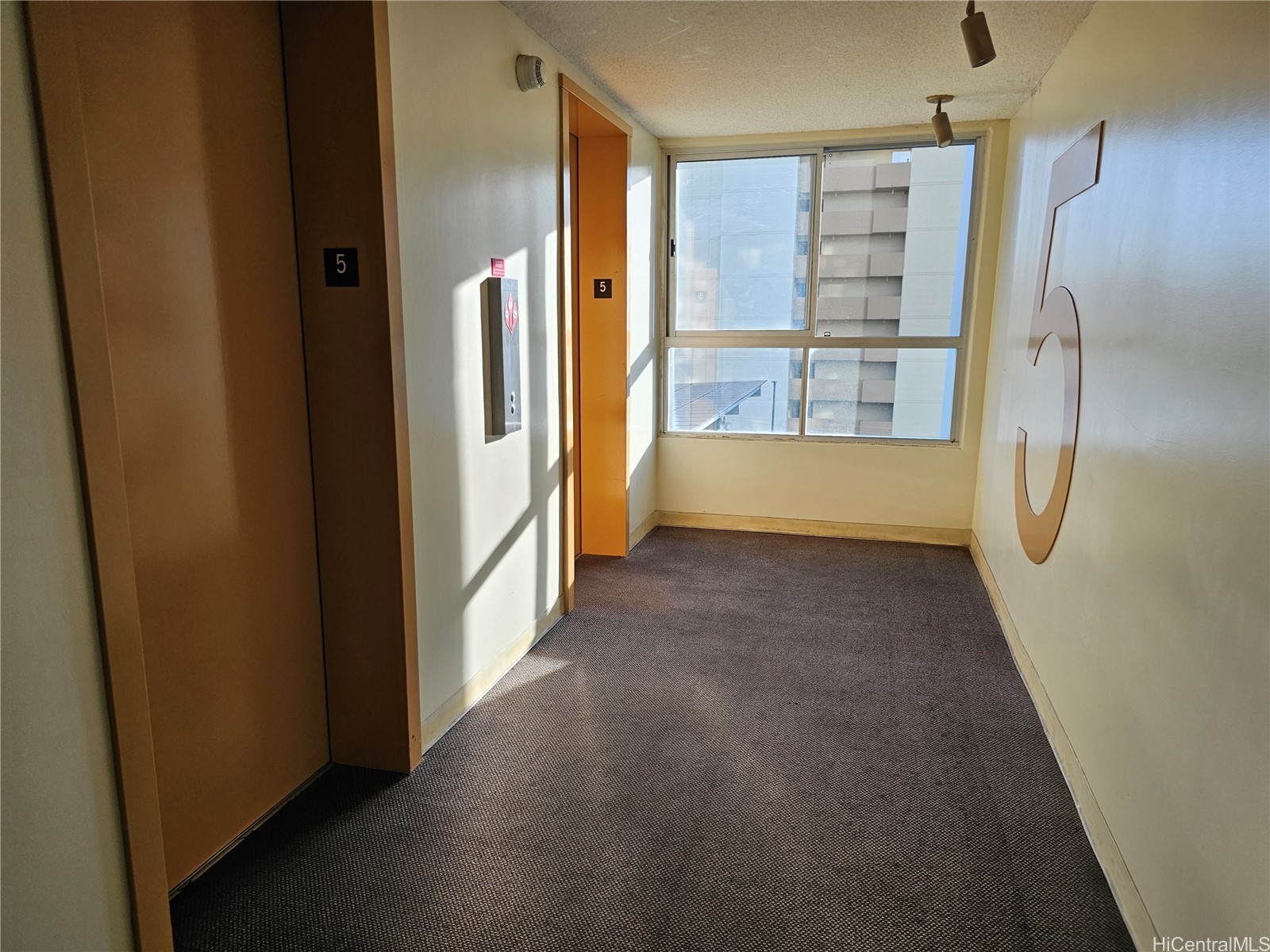 1621 Dole Street 504