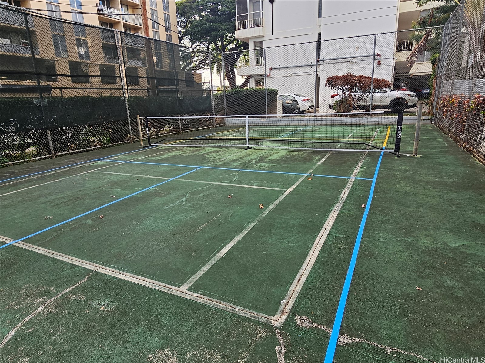 1621 Dole Street 504