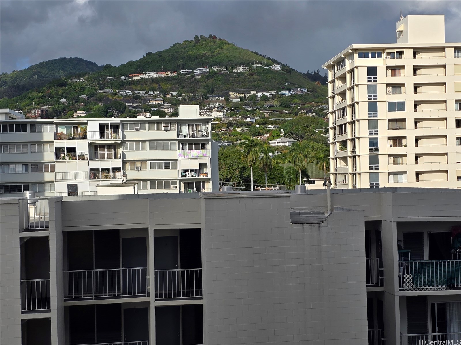 1621 Dole Street 504