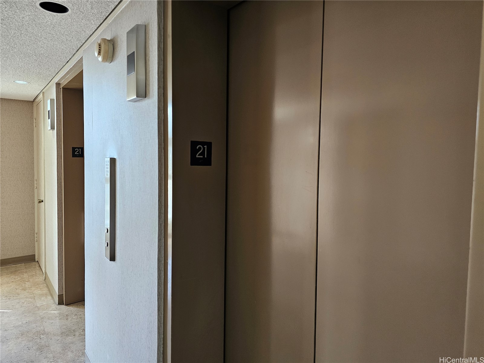 747 Amana Street 2109