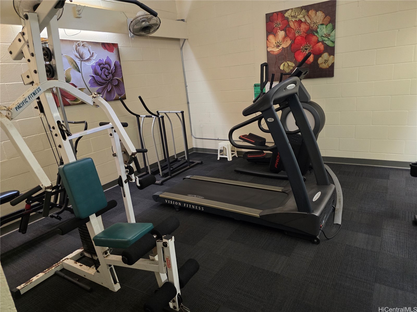 1621 Dole Street 504