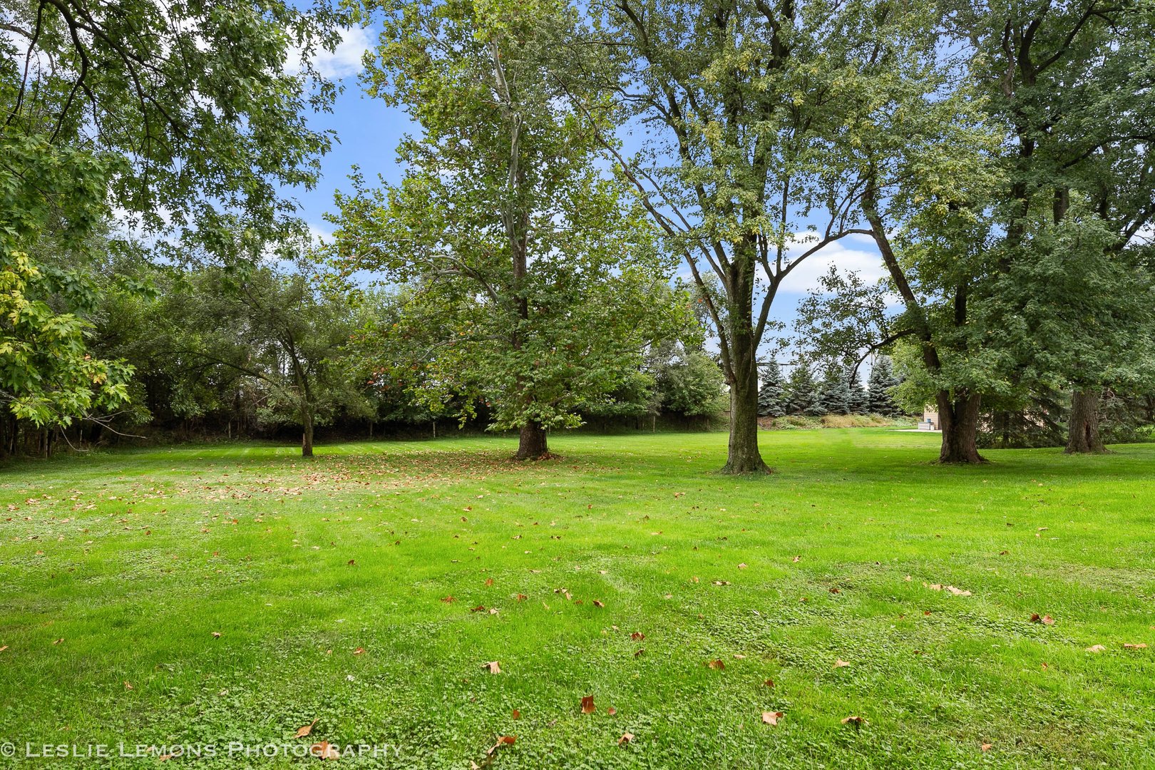 10211 5th Ave Cut Off Avenue