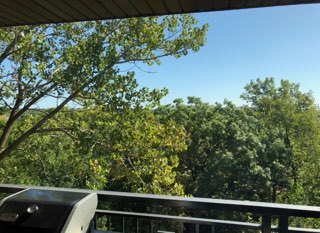 5900 OAKWOOD Drive Unit: 5F