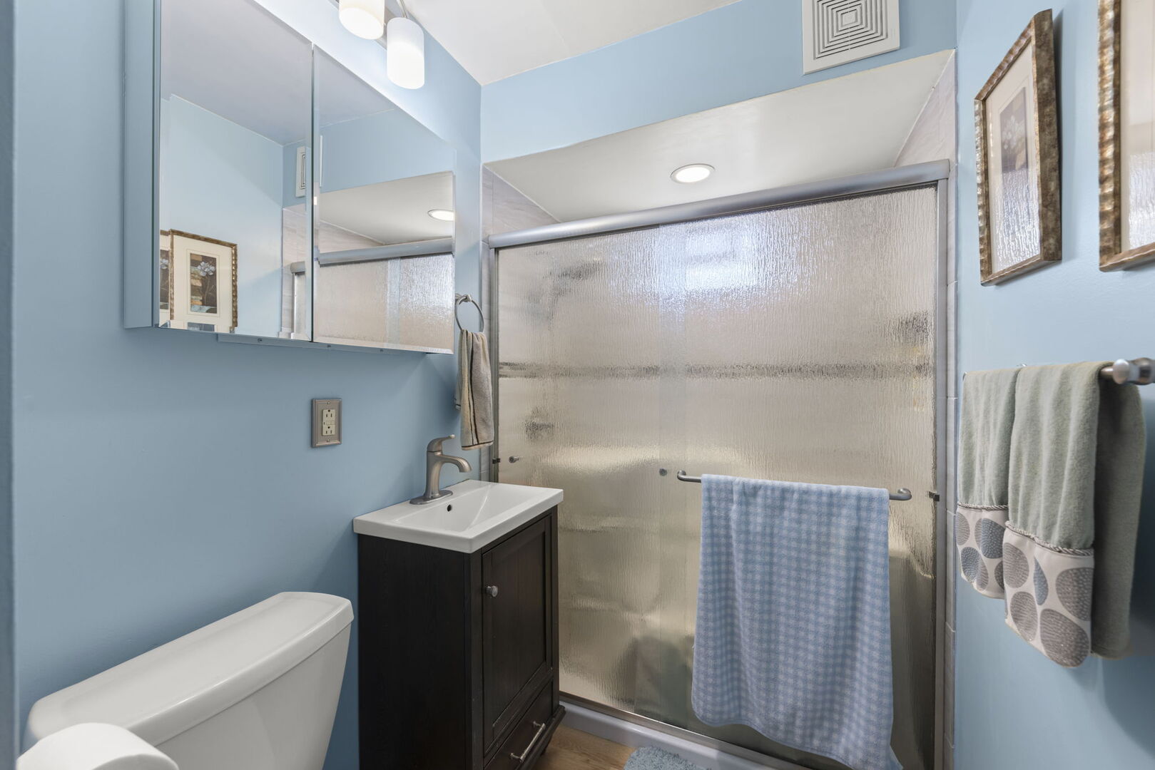 Bathroom with a frosted-glass shower, dark wood vanity, and light blue walls.