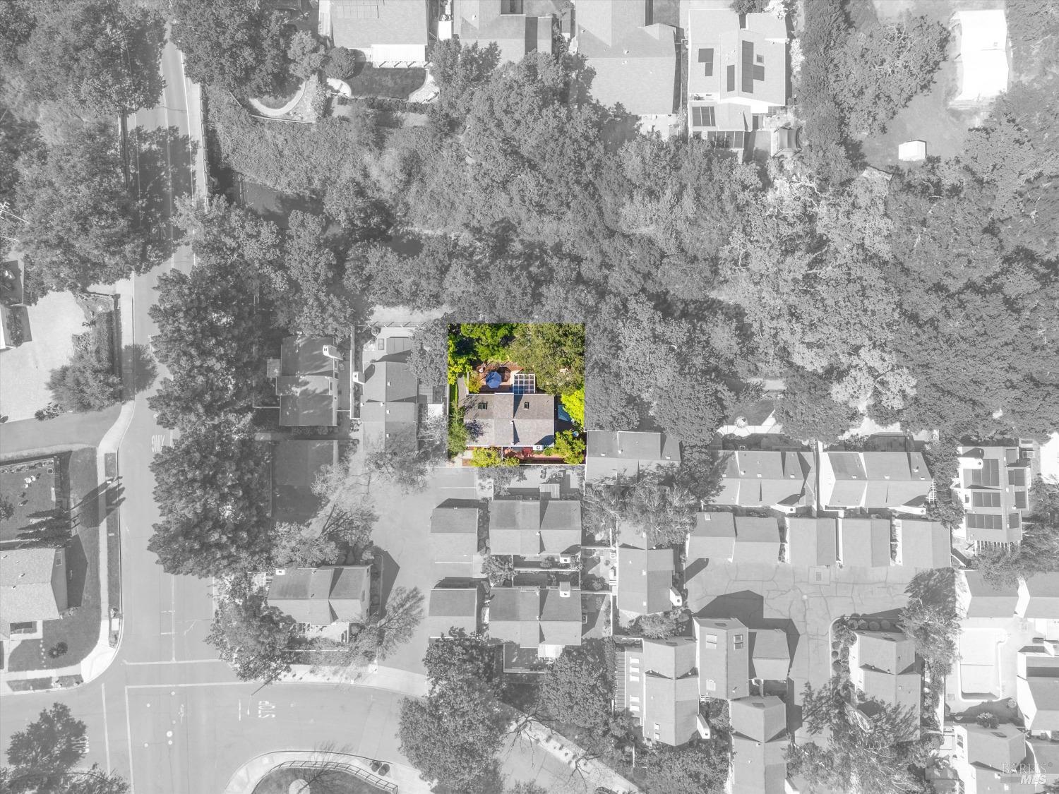 1206 Cayetano Dr