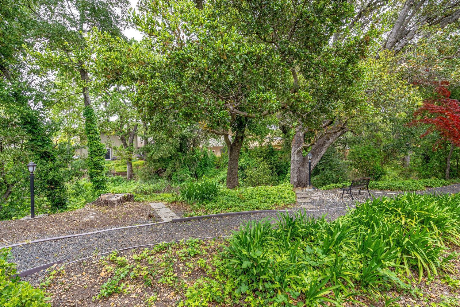 1206 Cayetano Dr