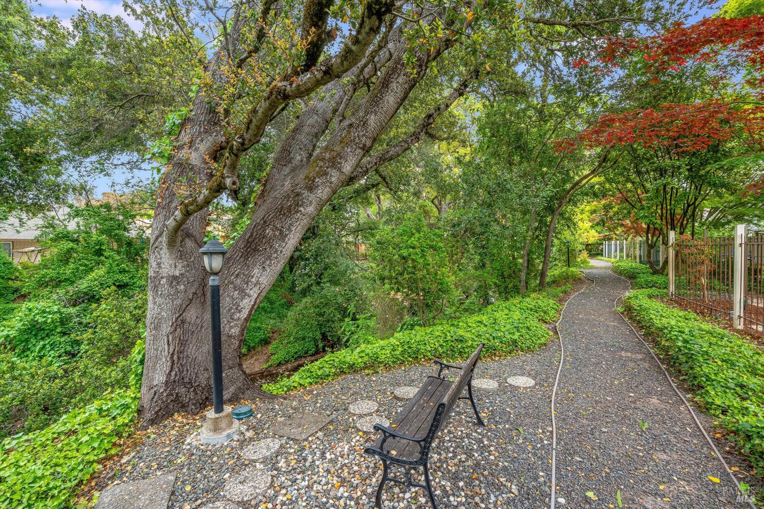 1206 Cayetano Dr