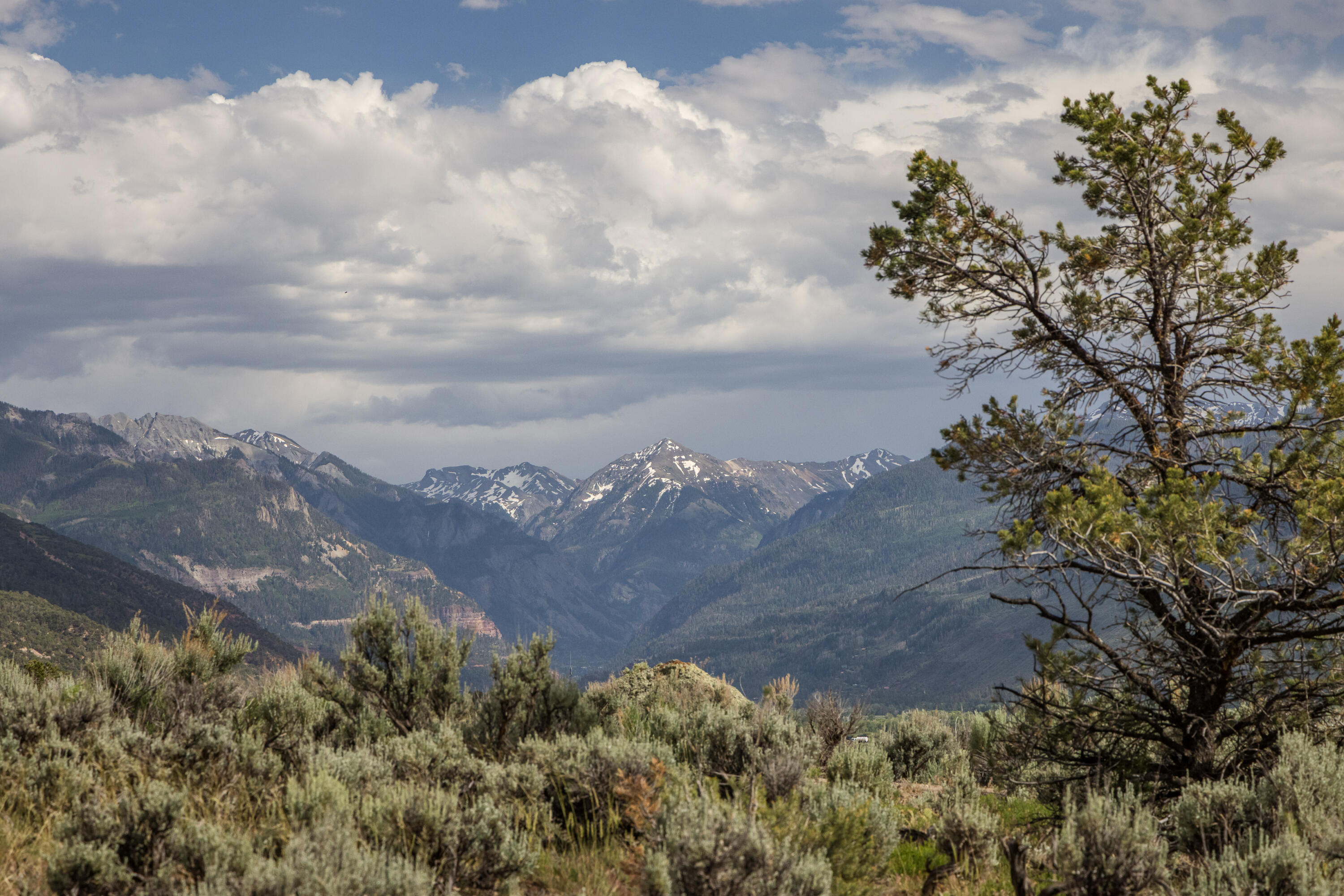 800 Golden Eagle Trail