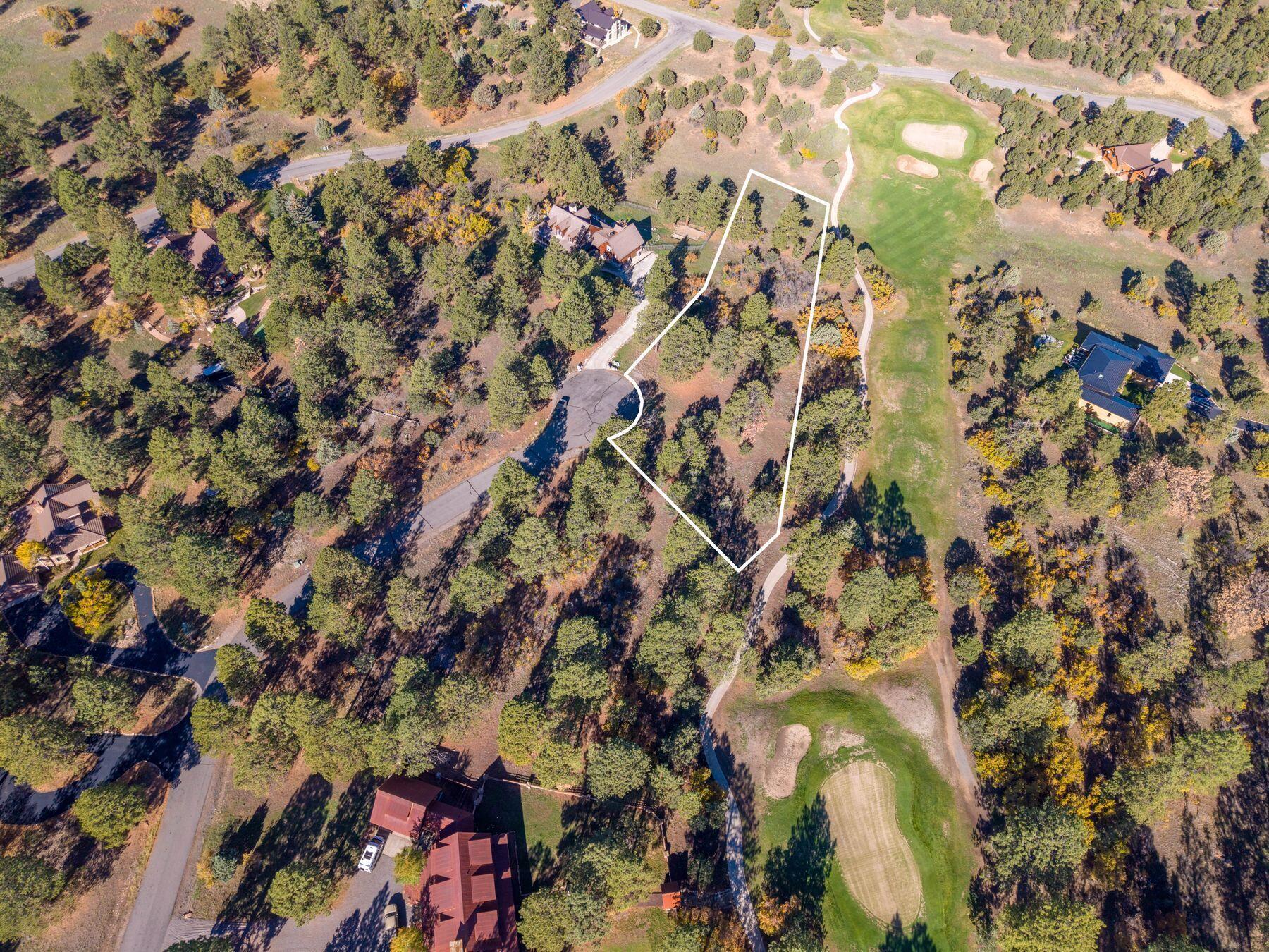 274 Puma Lane