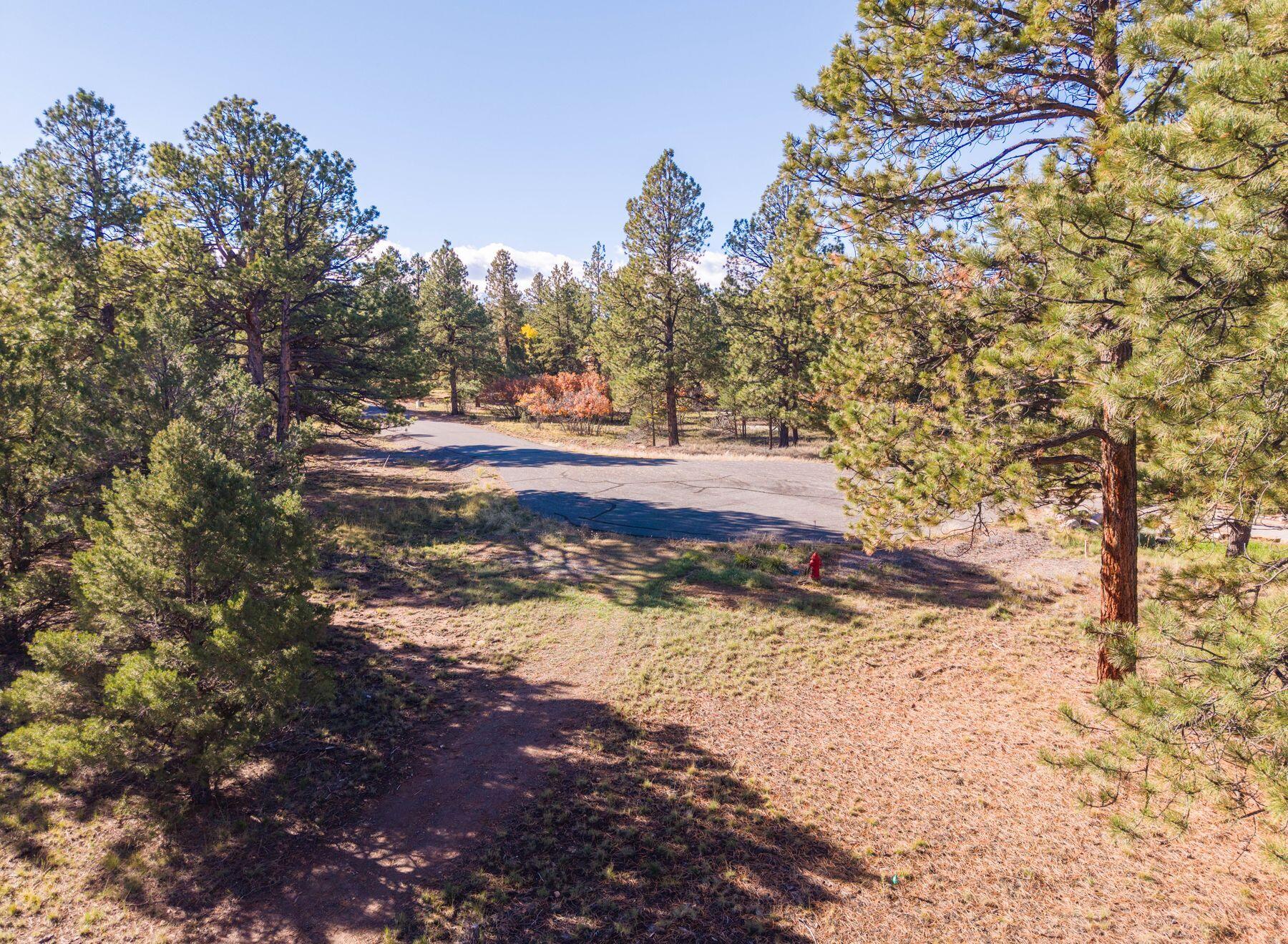 274 Puma Lane