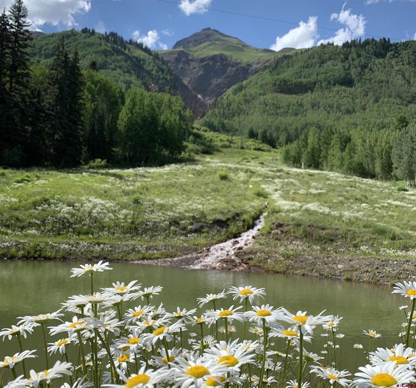 3543 Highway 550
