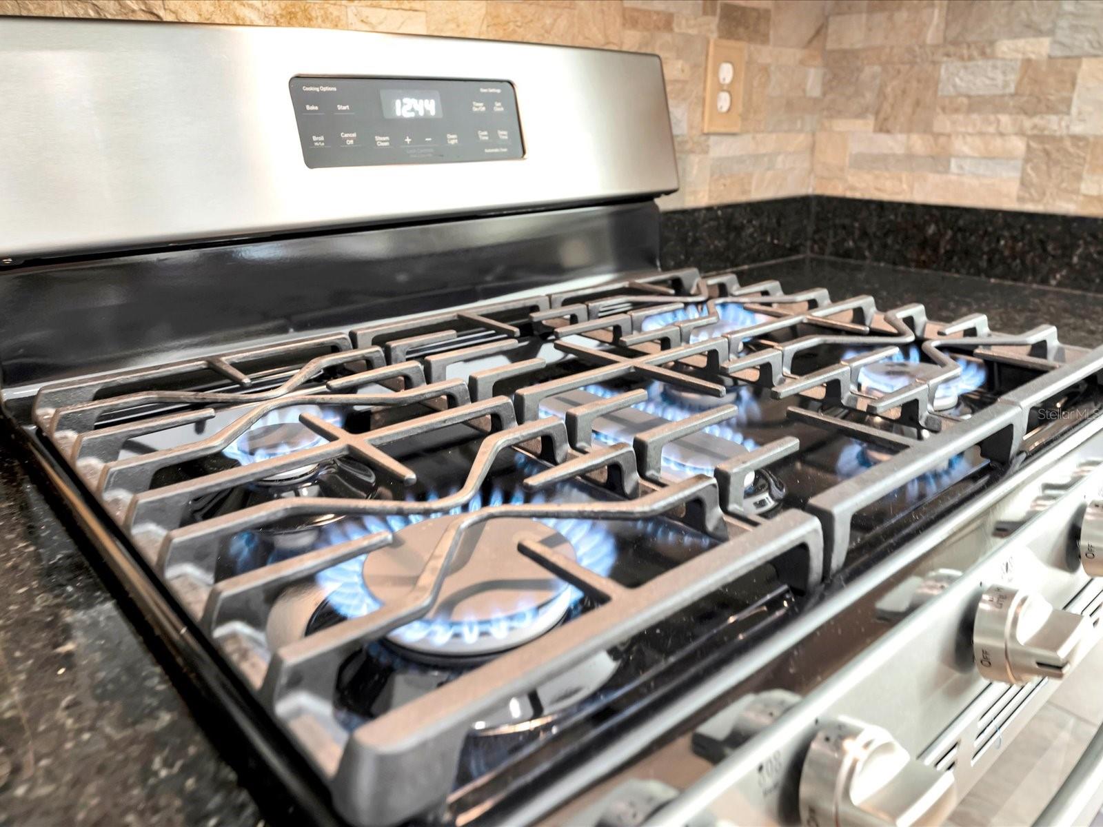 4731 BALBOA PARK LOOP W