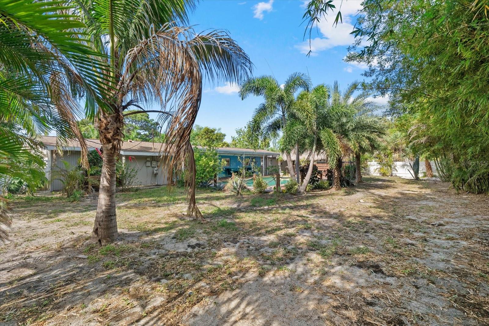 361 SCOTT AVE