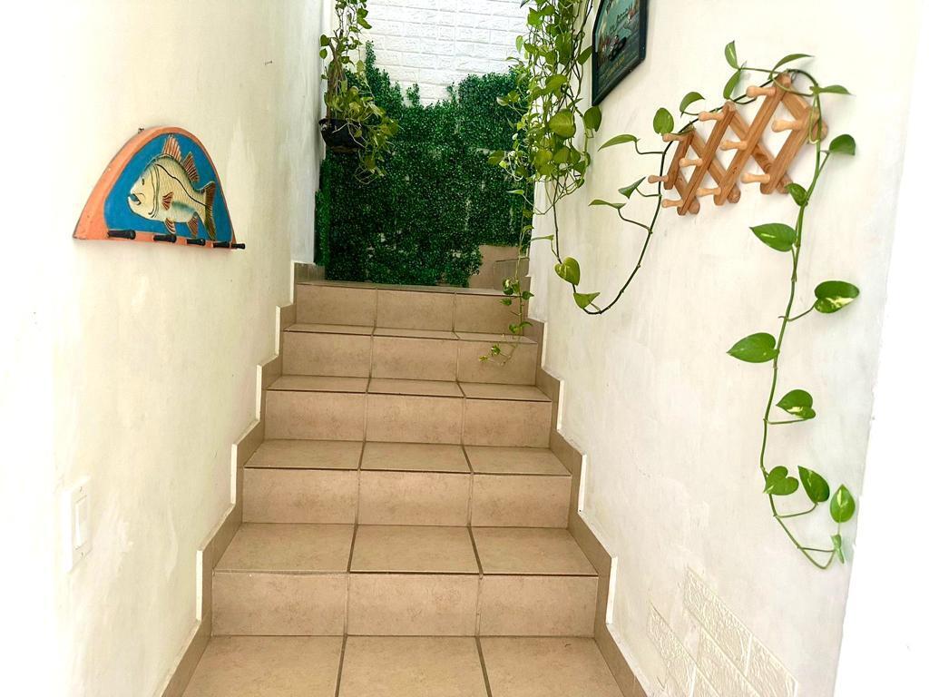 Residencia Mediterranea 41
