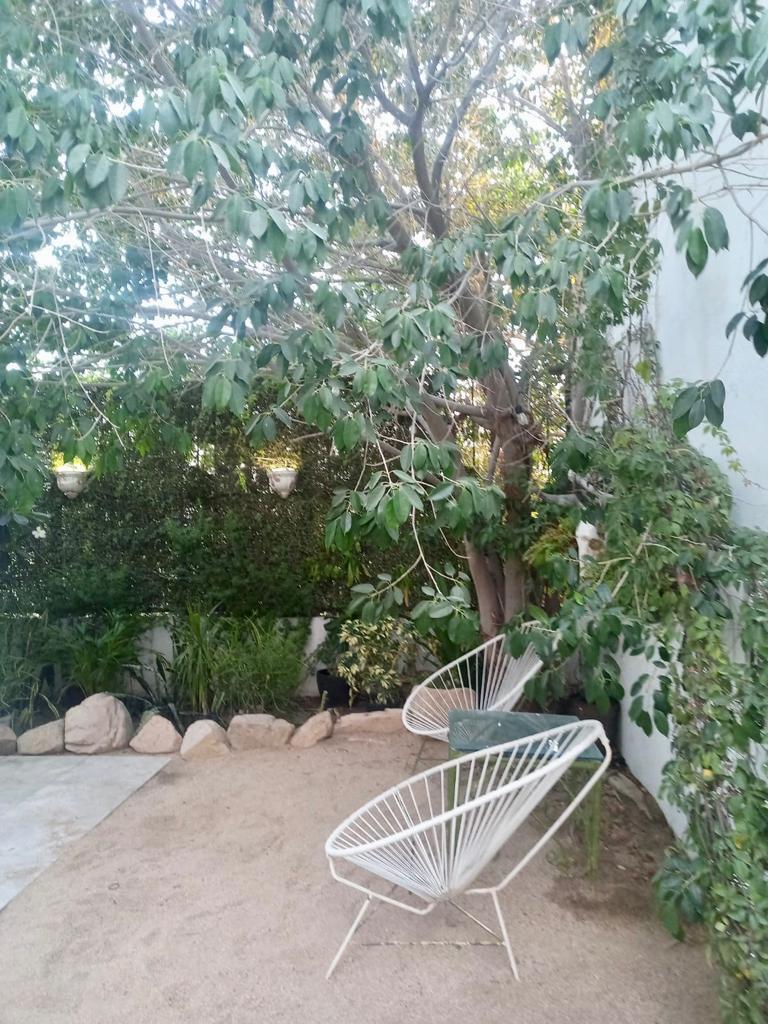Residencia Mediterranea 41