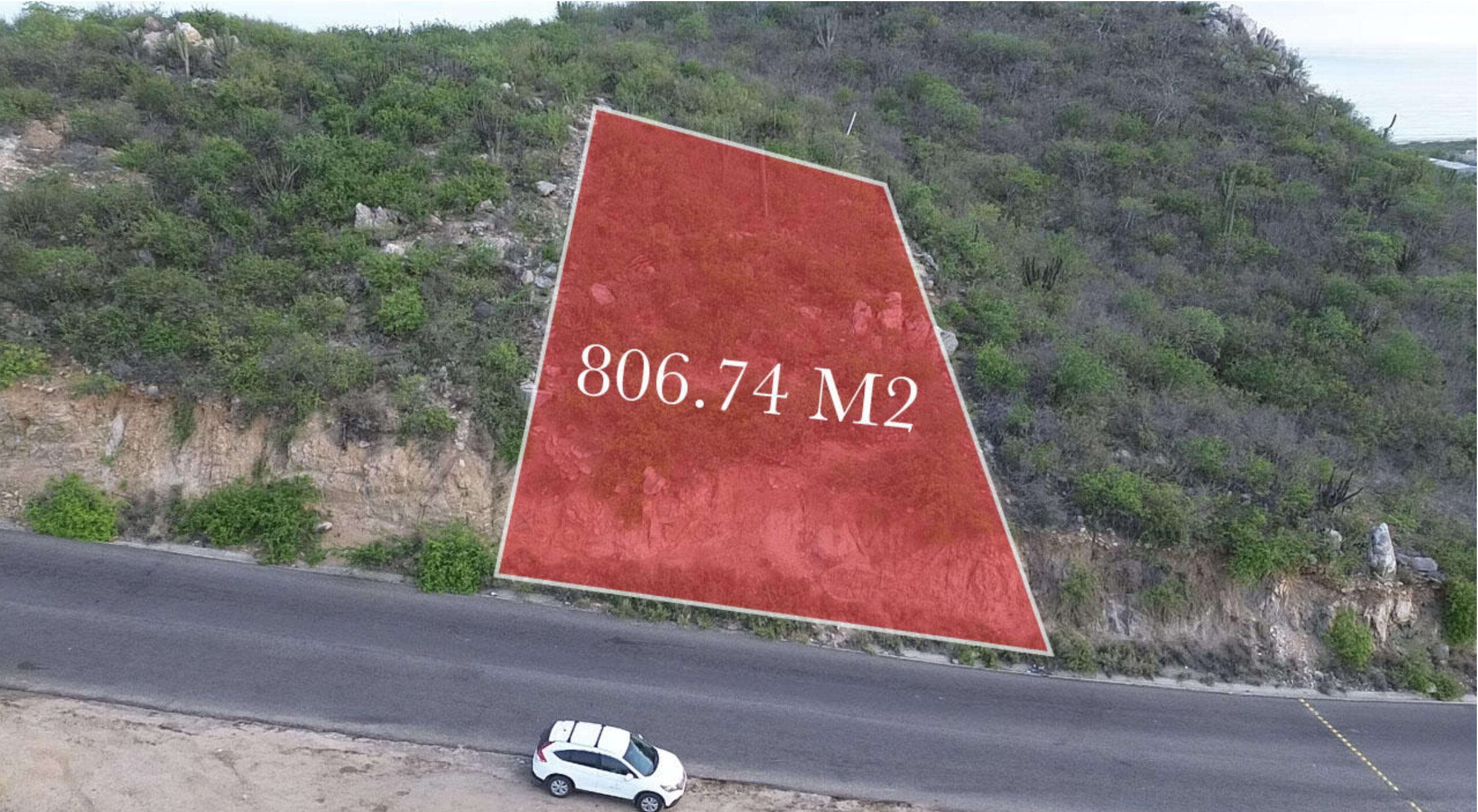 Lot 12 Baja Coral